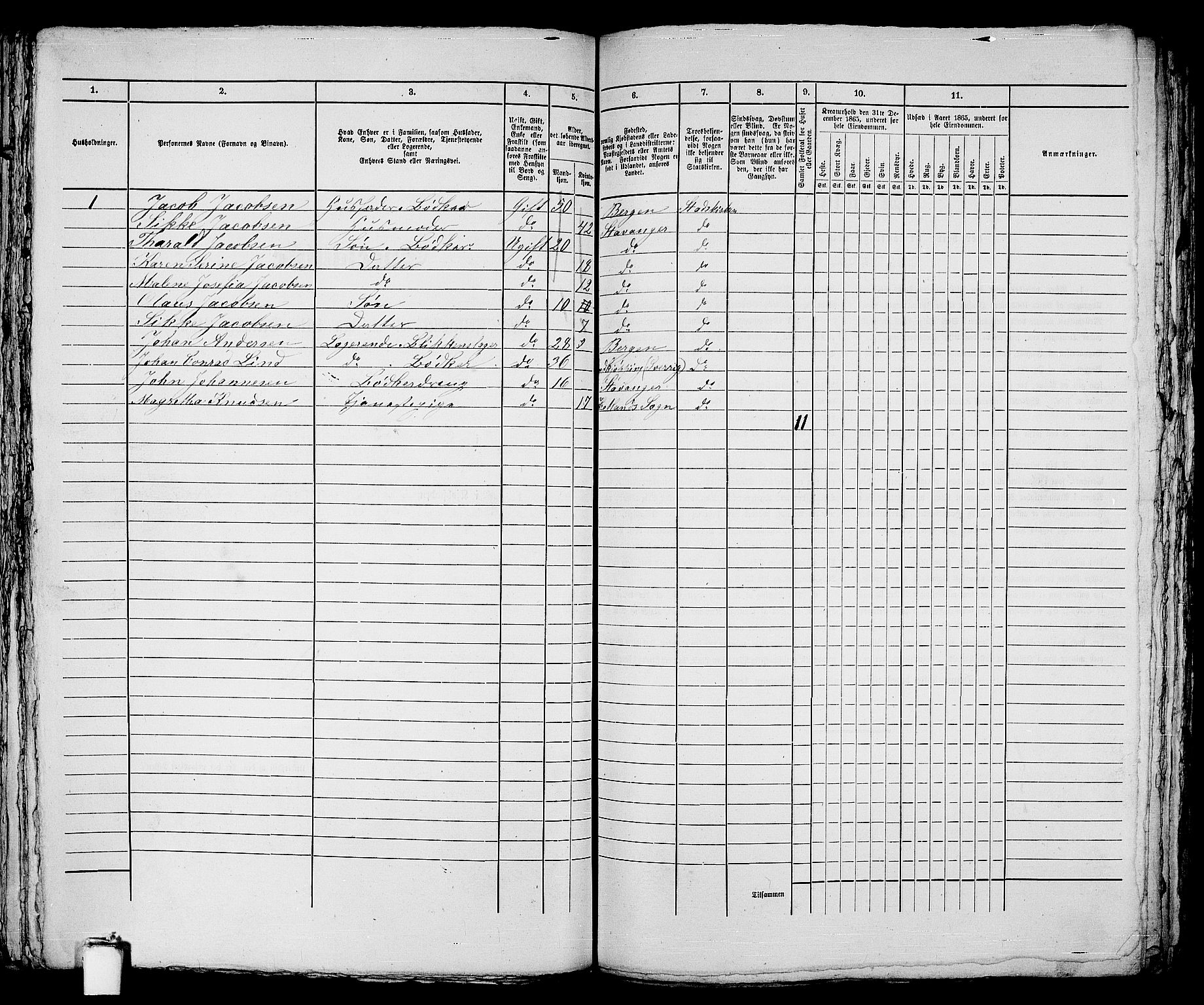 RA, 1865 census for Stavanger, 1865, p. 1295