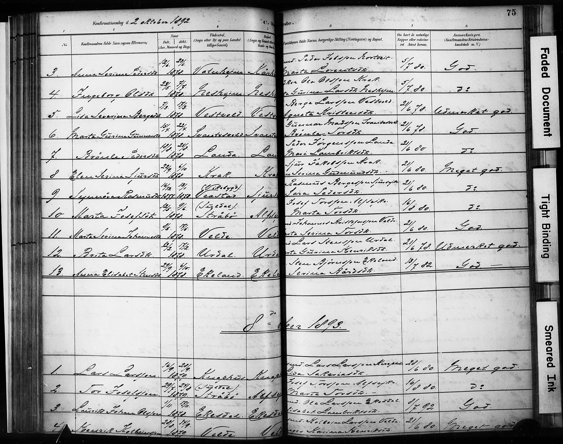 Skjold sokneprestkontor, SAST/A-101847/H/Ha/Haa/L0009: Parish register (official) no. A 9, 1882-1898, p. 75