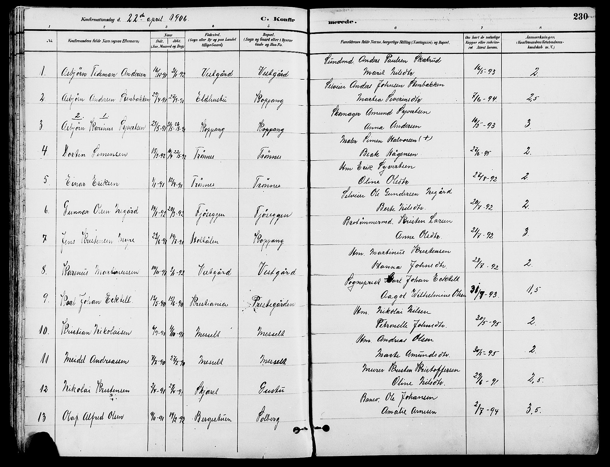 Stor-Elvdal prestekontor, SAH/PREST-052/H/Ha/Haa/L0002: Parish register (official) no. 2, 1882-1907, p. 230