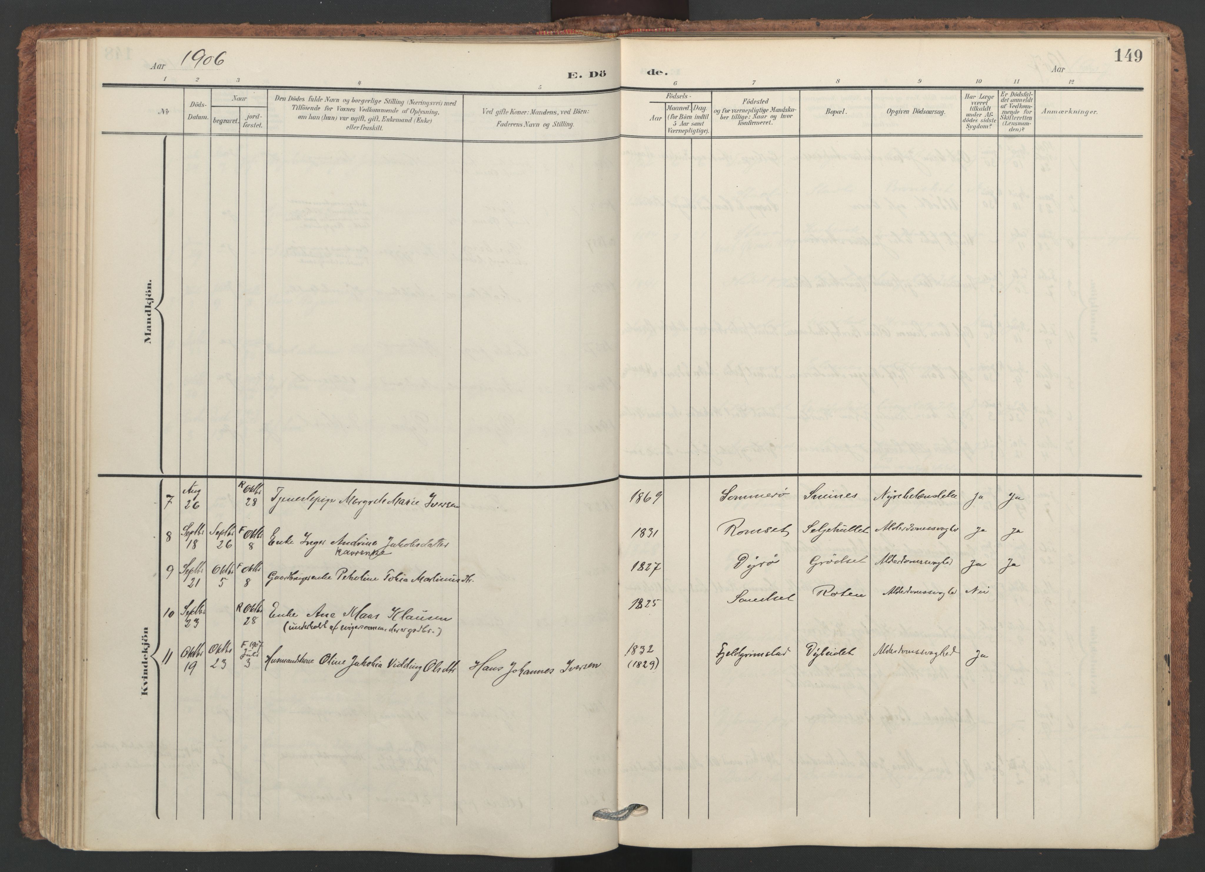 Ministerialprotokoller, klokkerbøker og fødselsregistre - Nordland, SAT/A-1459/893/L1339: Parish register (official) no. 893A11, 1904-1914, p. 149
