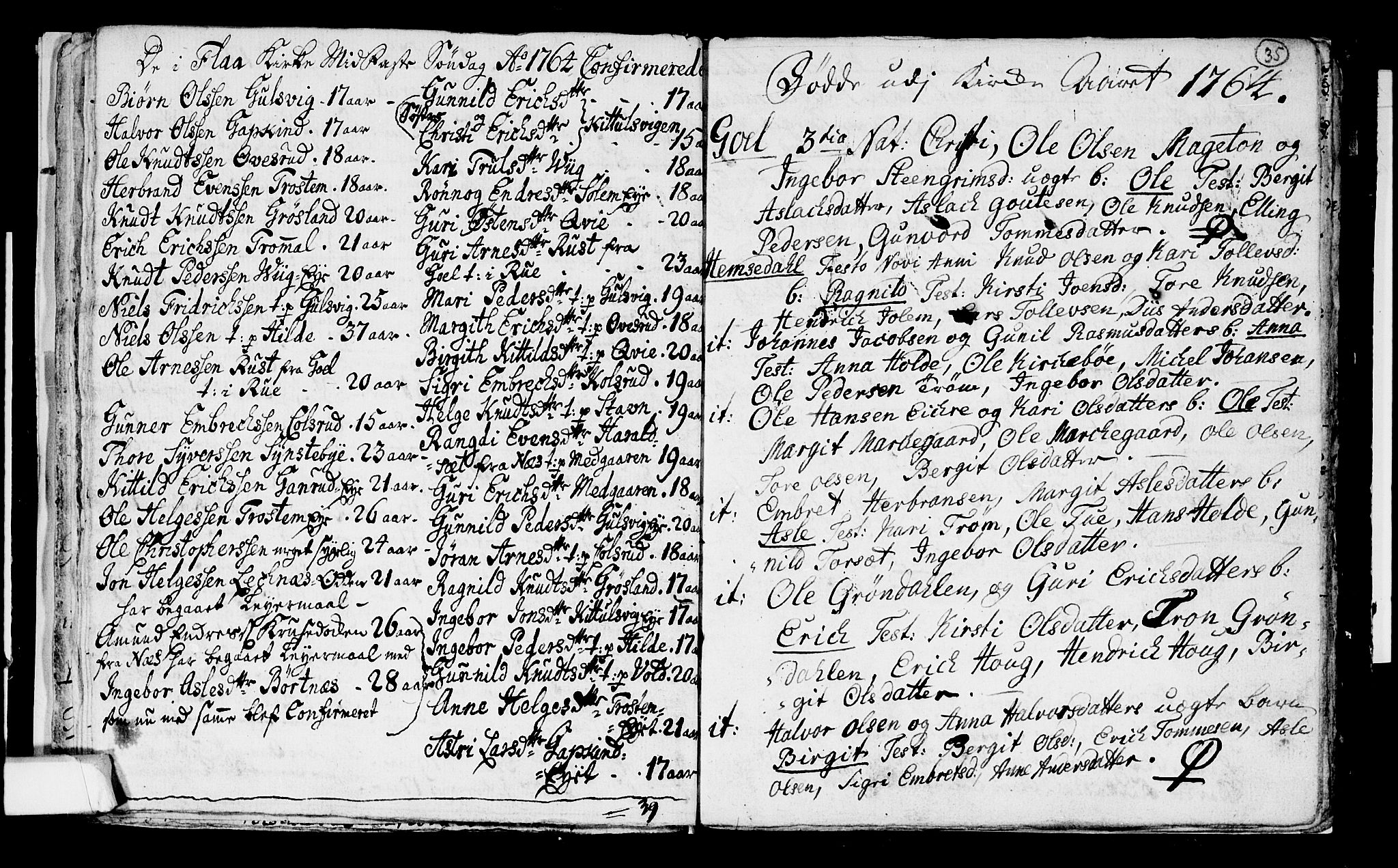 Nes kirkebøker, AV/SAKO-A-236/F/Fa/L0003: Parish register (official) no. 3, 1760-1764, p. 35