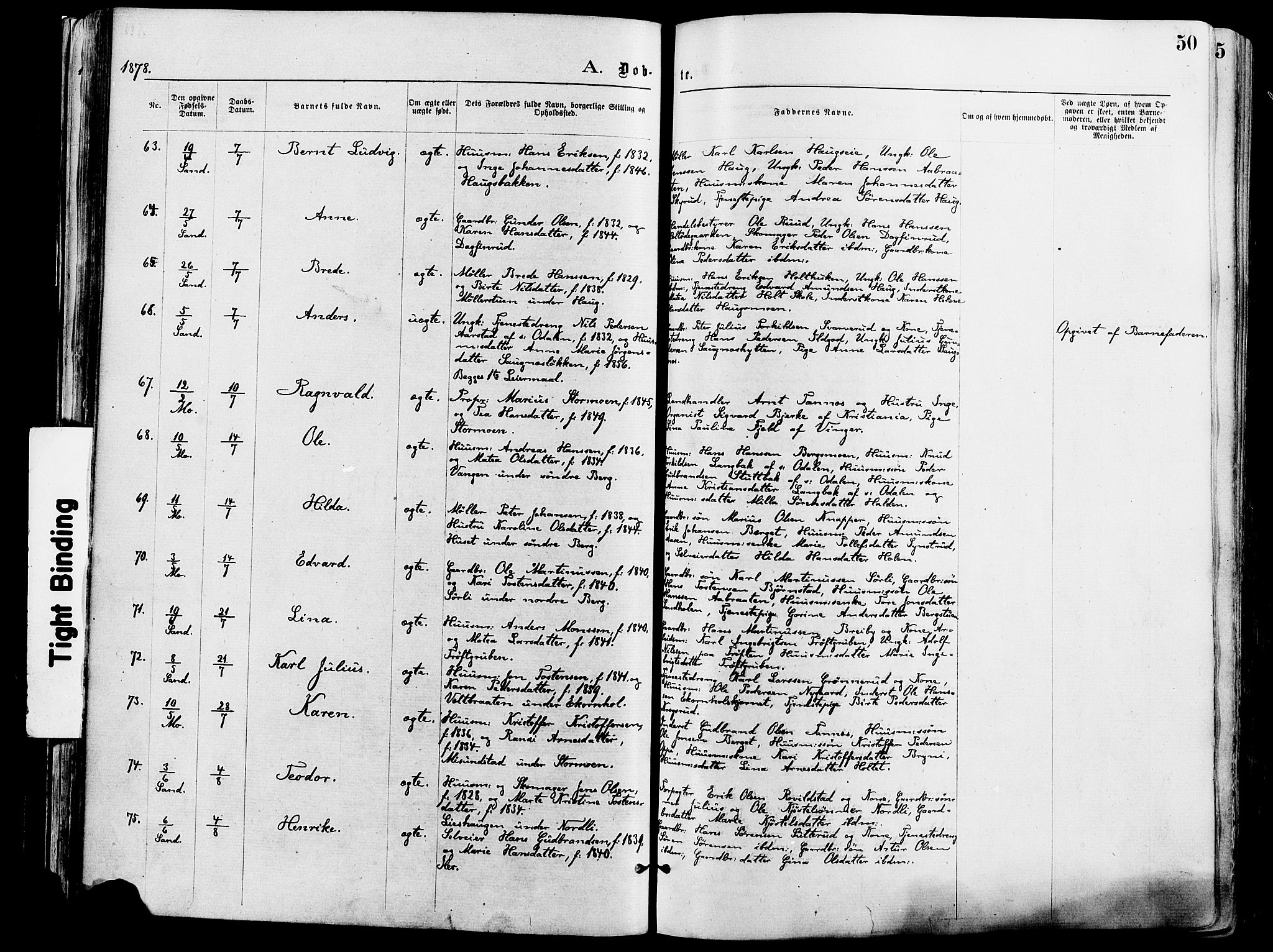 Nord-Odal prestekontor, AV/SAH-PREST-032/H/Ha/Haa/L0005: Parish register (official) no. 5, 1874-1885, p. 50