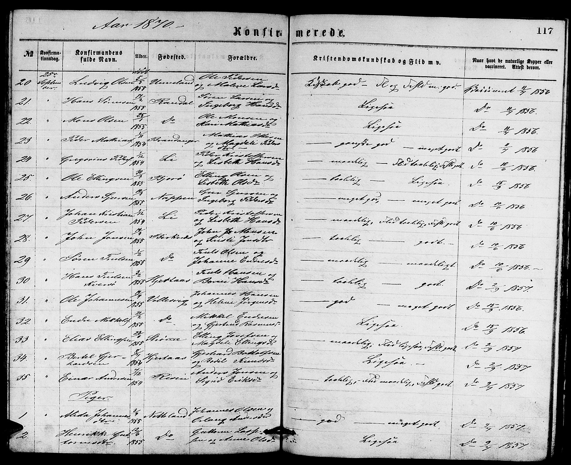 Gulen sokneprestembete, AV/SAB-A-80201/H/Hab/Habb/L0002: Parish register (copy) no. B 2, 1867-1883, p. 117