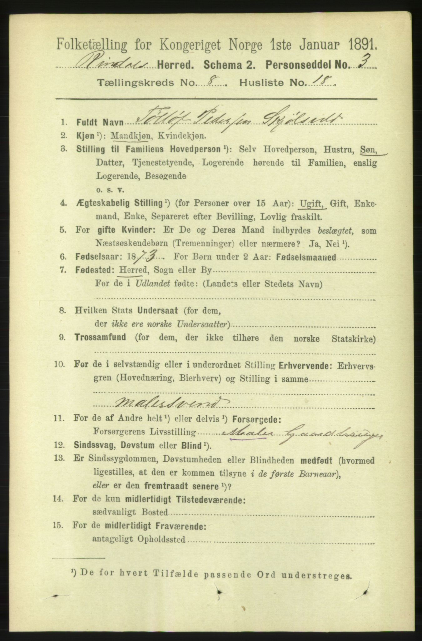 RA, 1891 census for 1567 Rindal, 1891, p. 2599