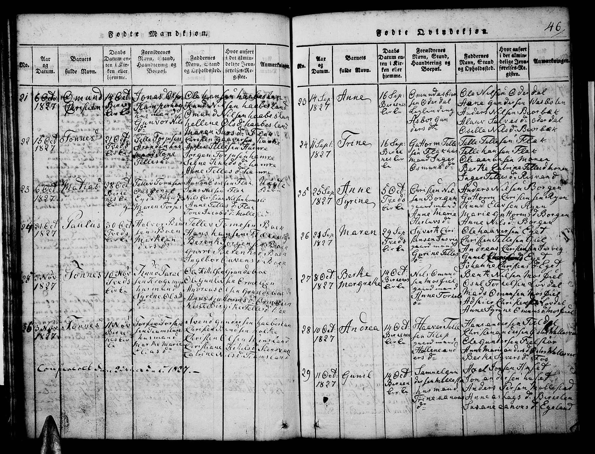 Tveit sokneprestkontor, AV/SAK-1111-0043/F/Fb/L0001: Parish register (copy) no. B 1, 1820-1834, p. 46