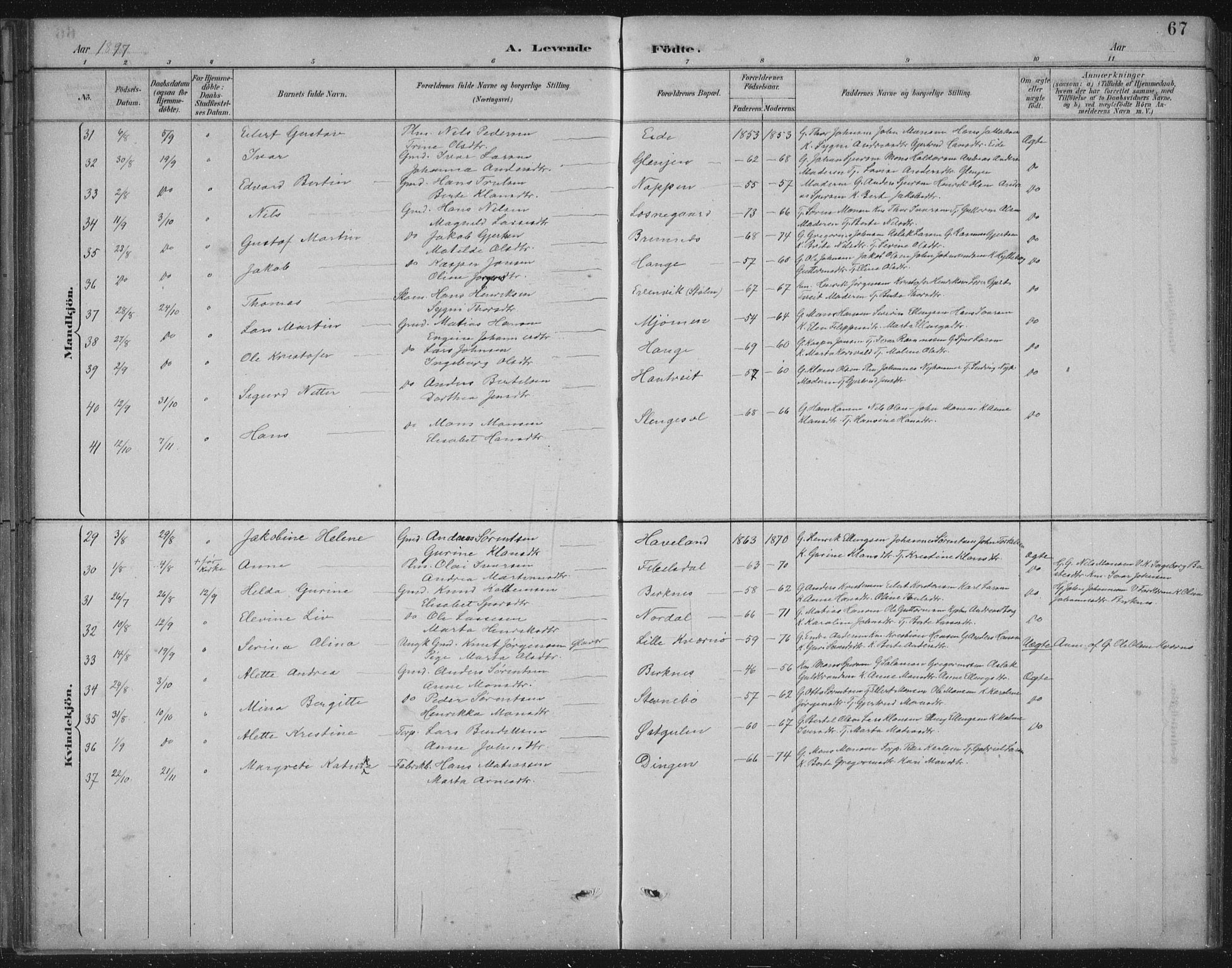 Gulen sokneprestembete, AV/SAB-A-80201/H/Hab/Habb/L0003: Parish register (copy) no. B 3, 1884-1907, p. 67