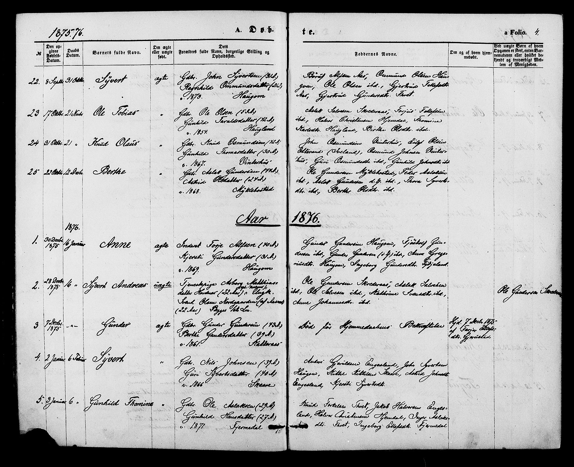 Herefoss sokneprestkontor, SAK/1111-0019/F/Fa/Fab/L0003: Parish register (official) no. A 3, 1875-1886, p. 4