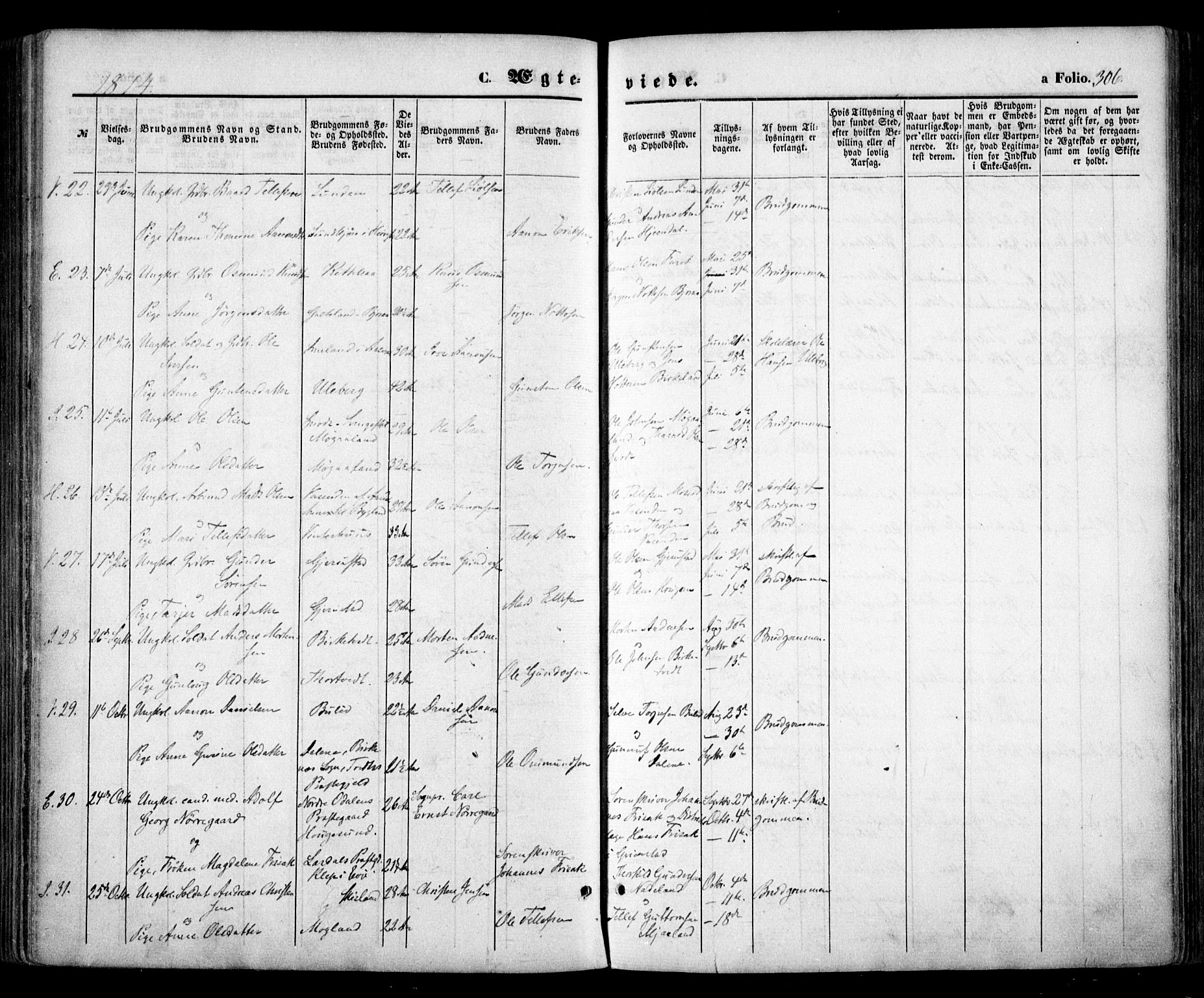 Evje sokneprestkontor, AV/SAK-1111-0008/F/Fa/Faa/L0006: Parish register (official) no. A 6, 1866-1884, p. 306