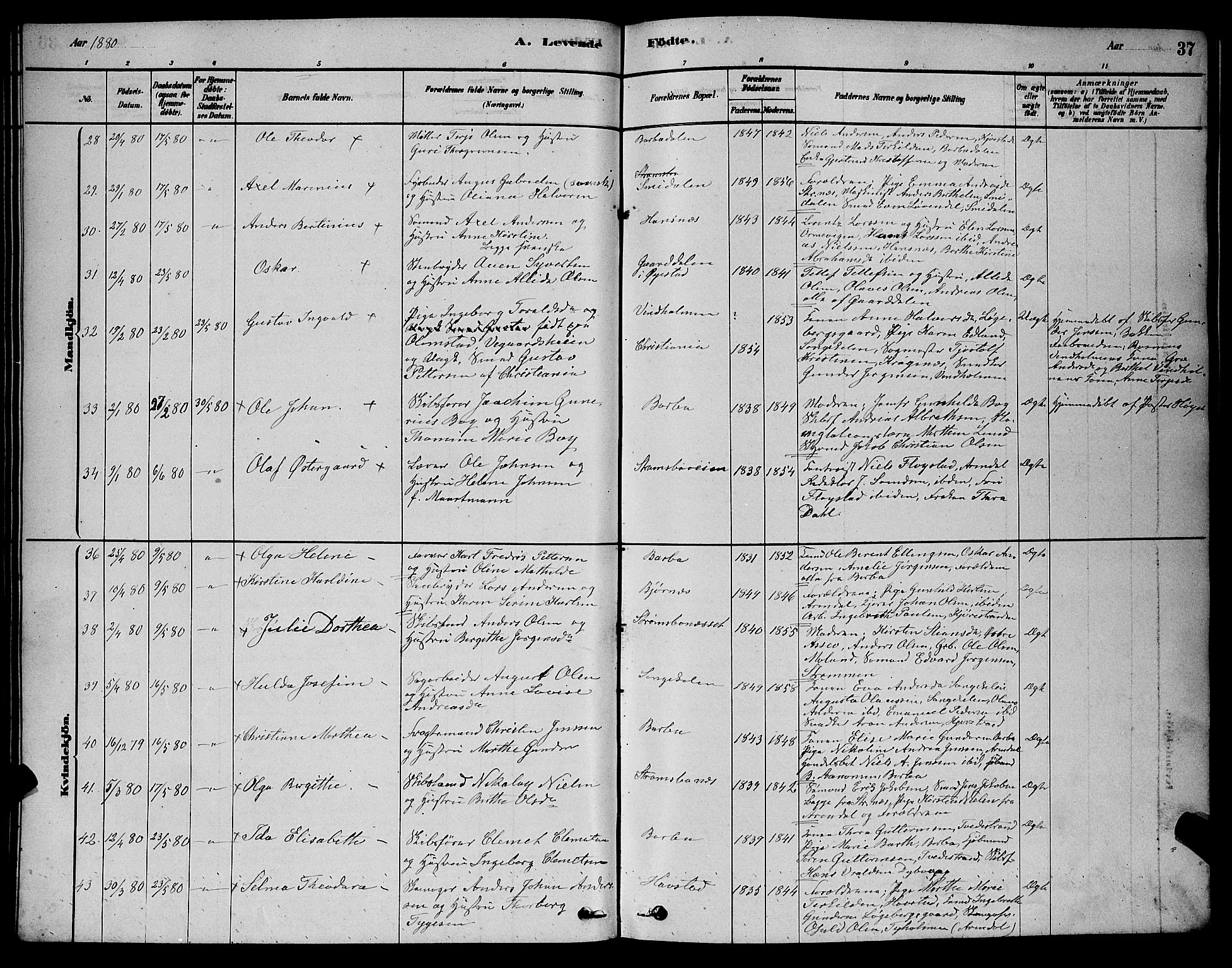 Barbu sokneprestkontor, AV/SAK-1111-0003/F/Fb/L0001: Parish register (copy) no. B 1, 1878-1890, p. 37