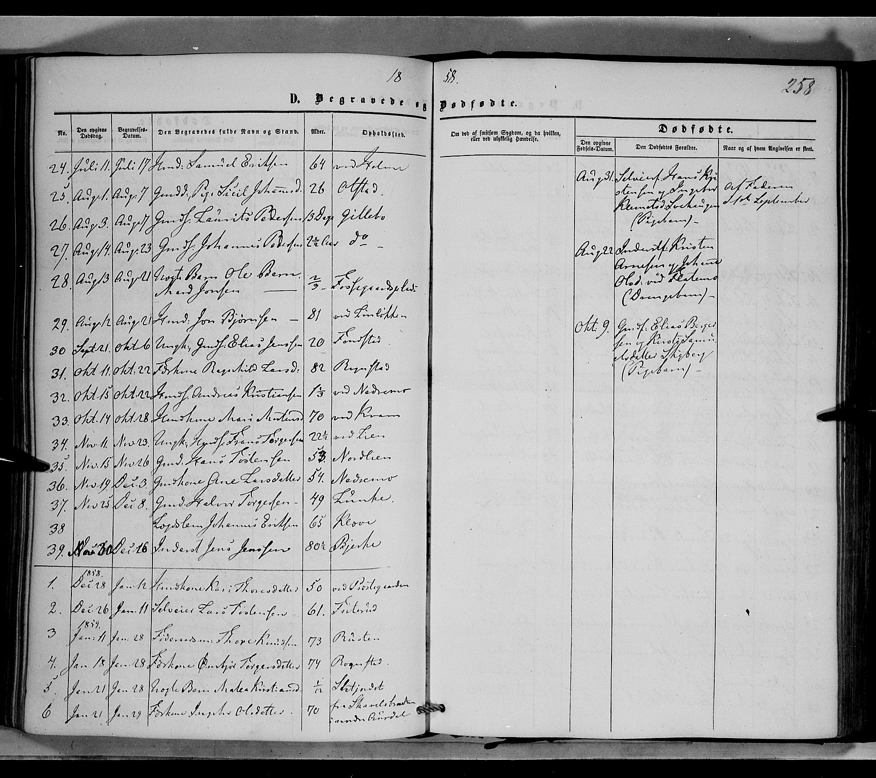 Øyer prestekontor, SAH/PREST-084/H/Ha/Haa/L0006: Parish register (official) no. 6, 1858-1874, p. 258