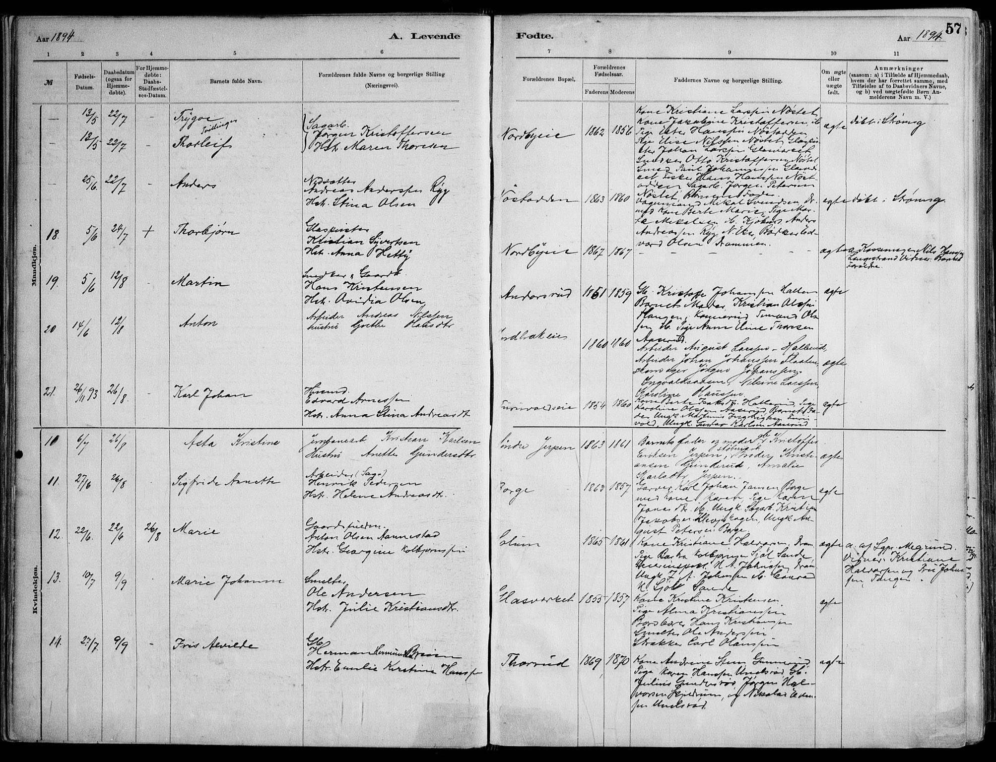 Skoger kirkebøker, AV/SAKO-A-59/F/Fa/L0006: Parish register (official) no. I 6, 1885-1910, p. 57