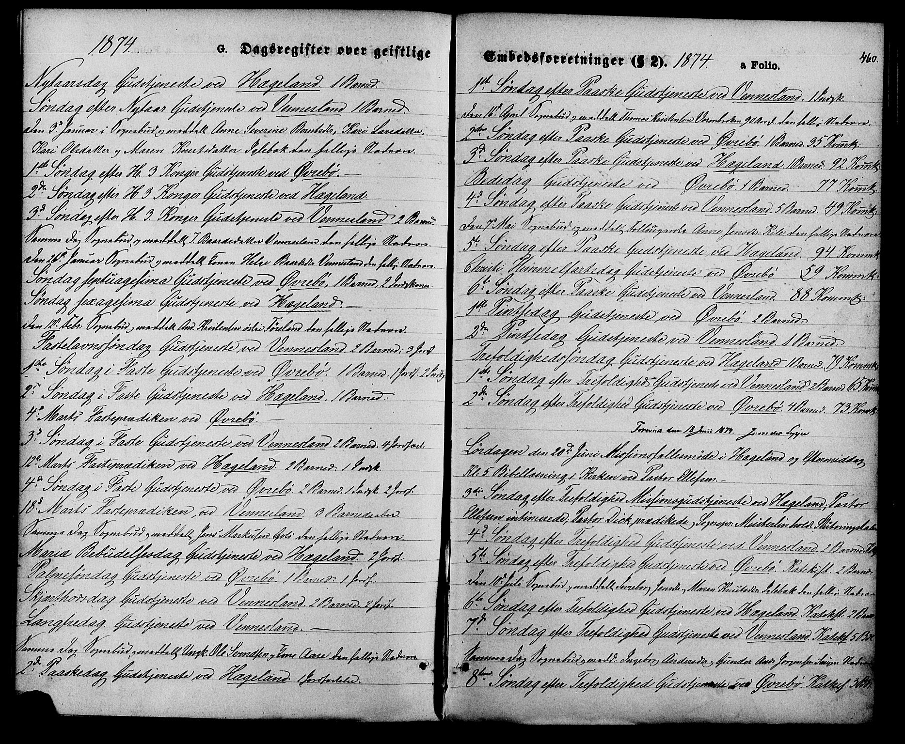 Vennesla sokneprestkontor, SAK/1111-0045/Fa/Fac/L0008: Parish register (official) no. A 8, 1874-1883, p. 460