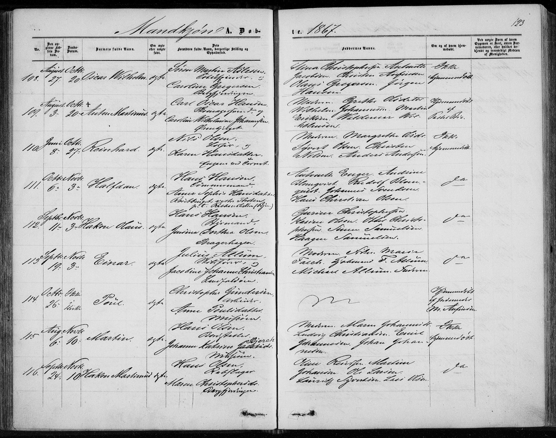 Bragernes kirkebøker, AV/SAKO-A-6/F/Fb/L0003: Parish register (official) no. II 3, 1860-1868, p. 123