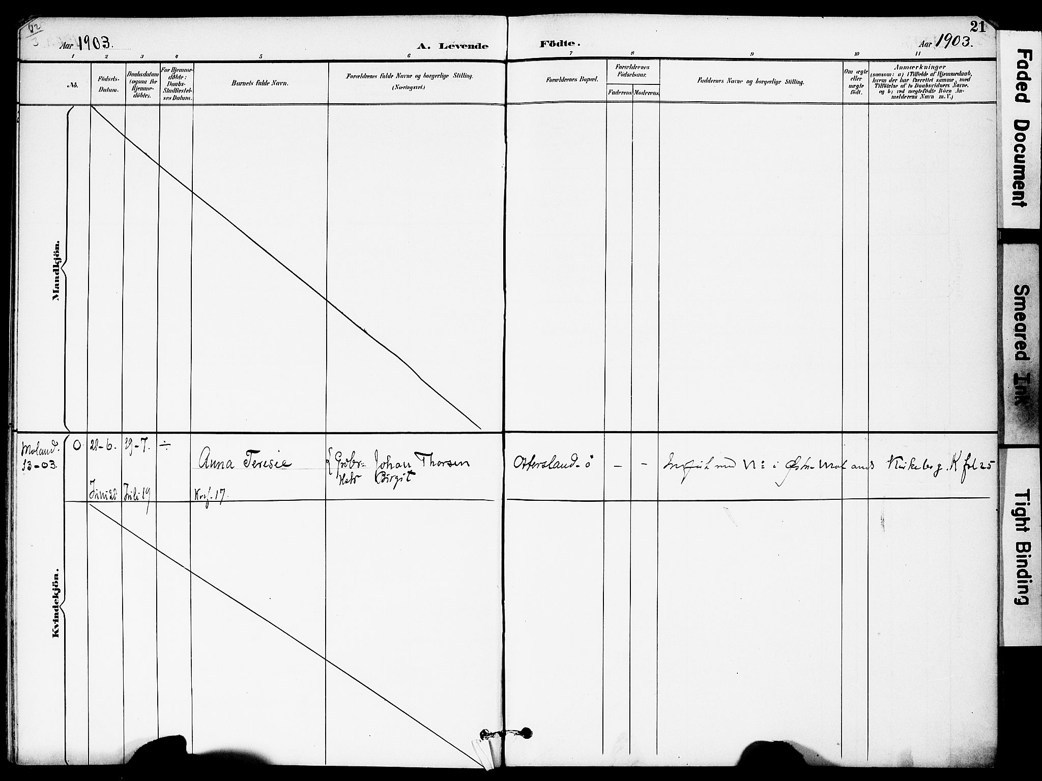 Austre Moland sokneprestkontor, AV/SAK-1111-0001/F/Fa/Fab/L0002: Parish register (official) no. A 2, 1894-1919, p. 21