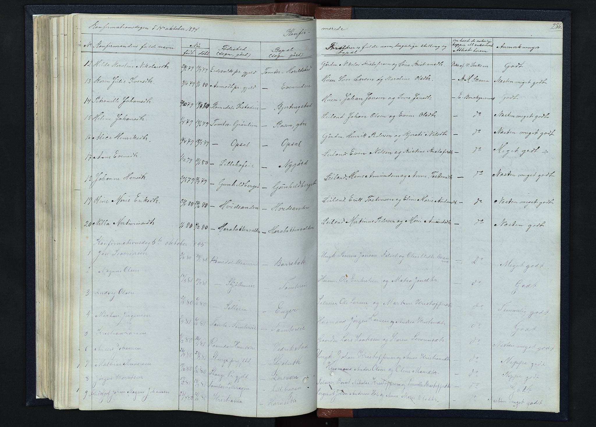 Romedal prestekontor, SAH/PREST-004/L/L0010: Parish register (copy) no. 10, 1860-1895, p. 286
