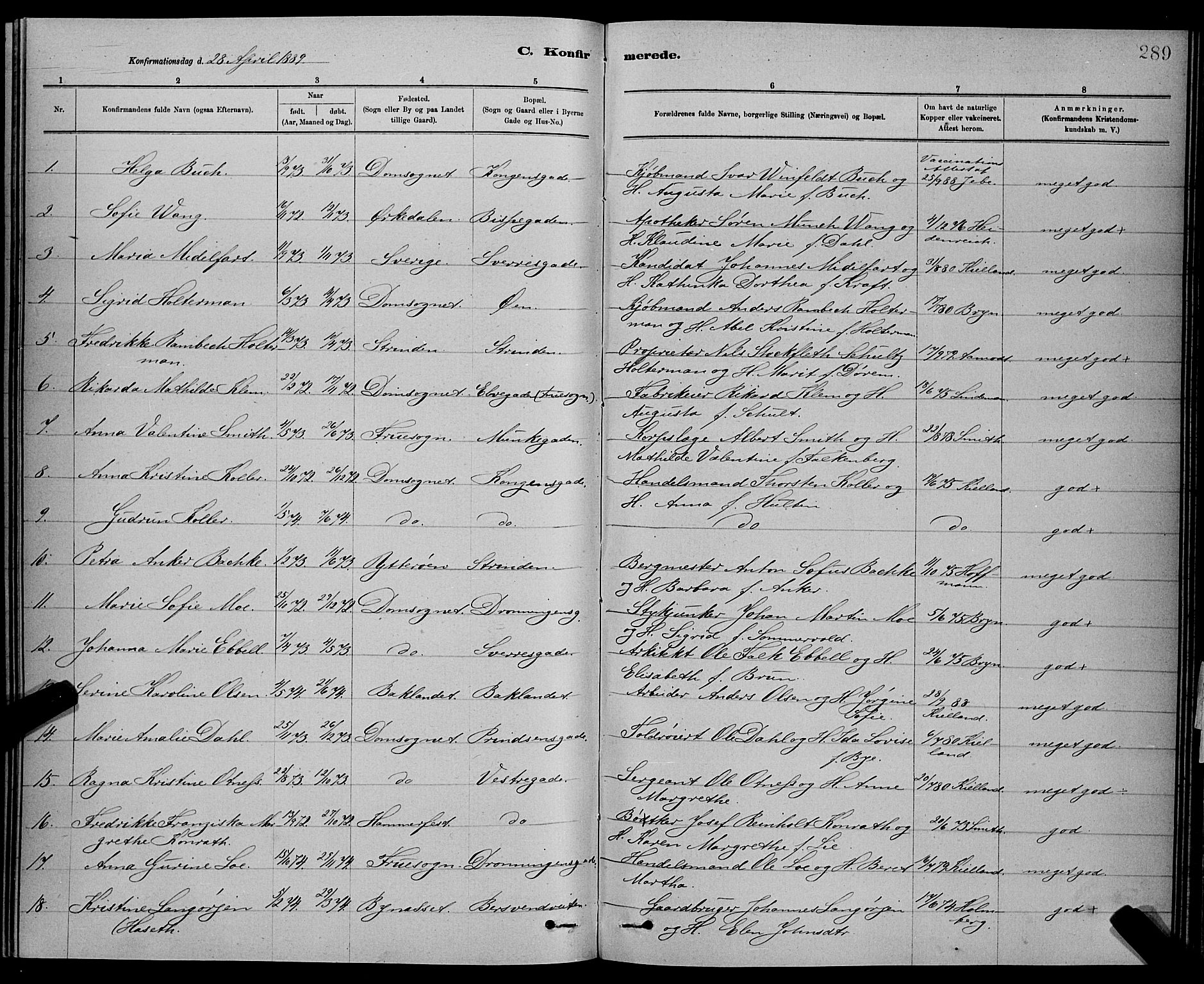 Ministerialprotokoller, klokkerbøker og fødselsregistre - Sør-Trøndelag, AV/SAT-A-1456/601/L0092: Parish register (copy) no. 601C10, 1884-1897, p. 289