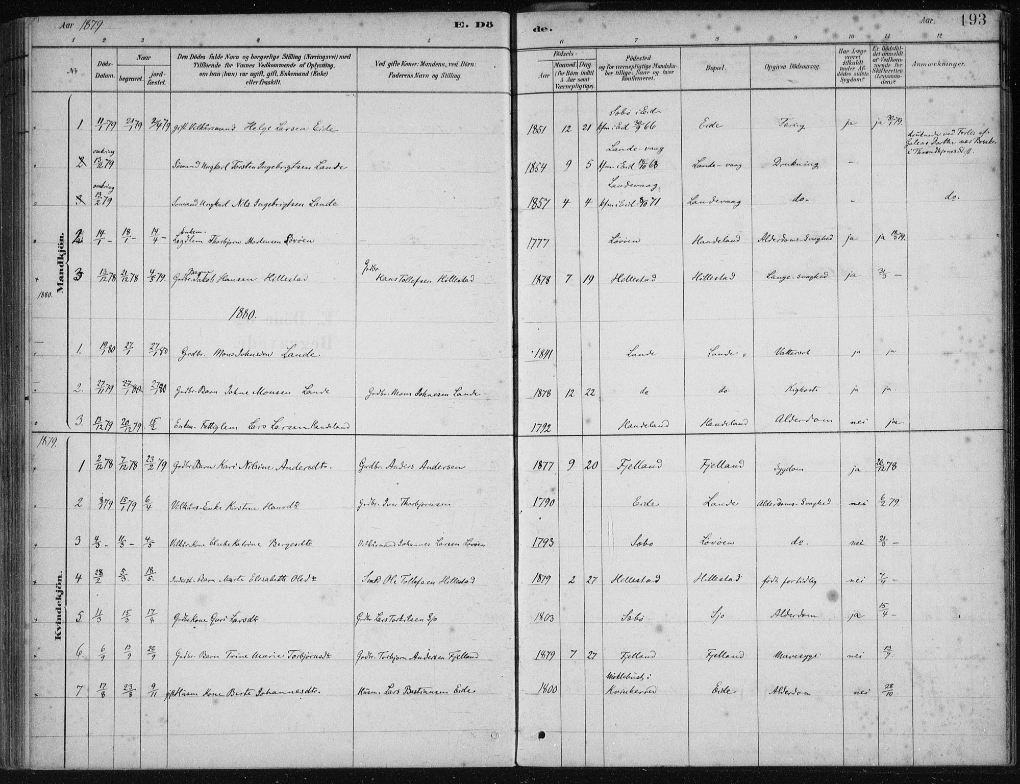Fjelberg sokneprestembete, SAB/A-75201/H/Haa: Parish register (official) no. C  1, 1879-1918, p. 193