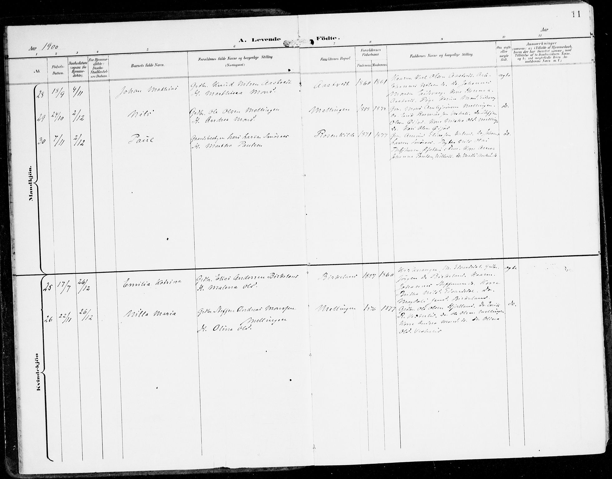 Hamre sokneprestembete, AV/SAB-A-75501/H/Ha/Haa/Haad/L0002: Parish register (official) no. D 2, 1899-1916, p. 11