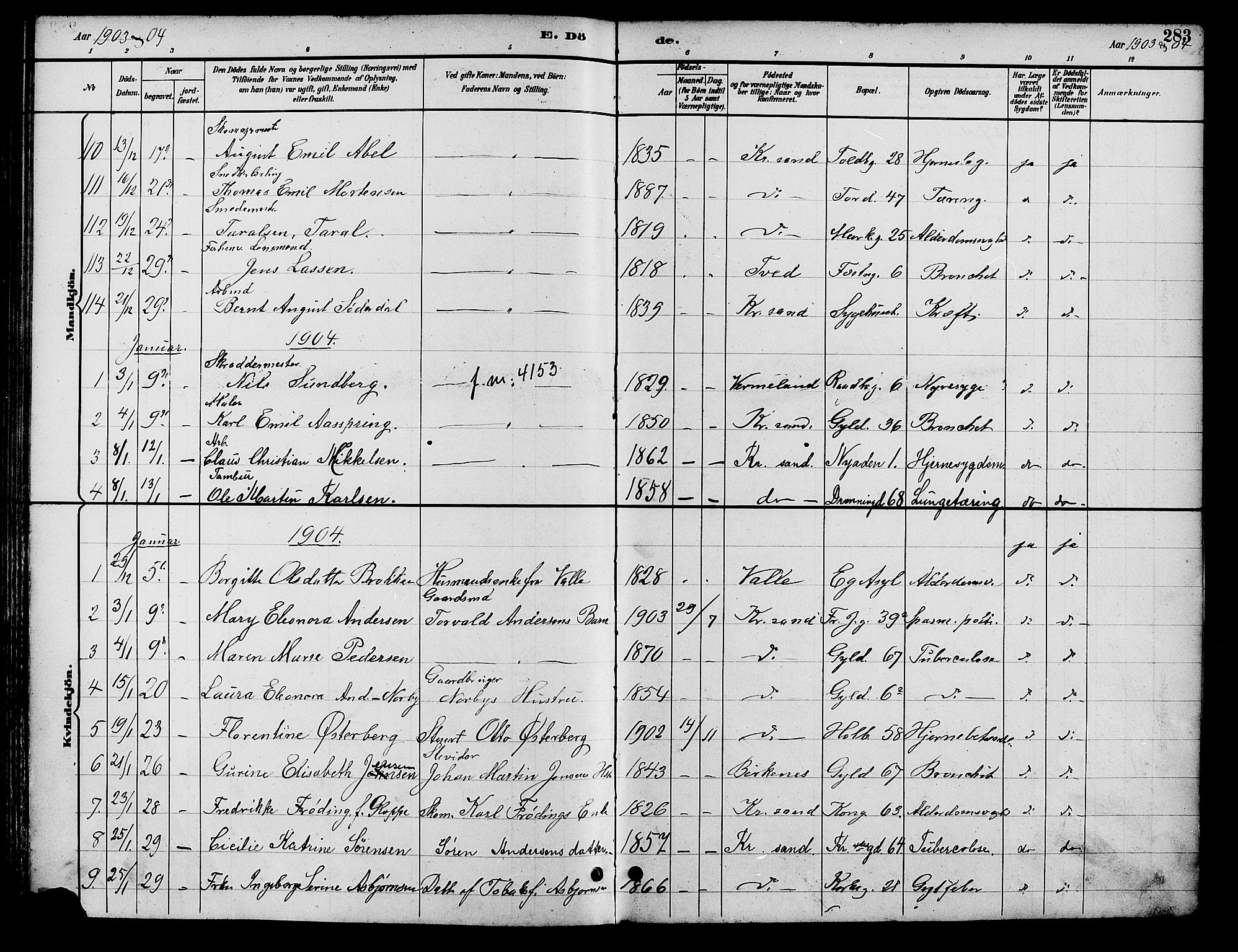 Kristiansand domprosti, SAK/1112-0006/F/Fb/L0017: Parish register (copy) no. B 17, 1893-1906, p. 283