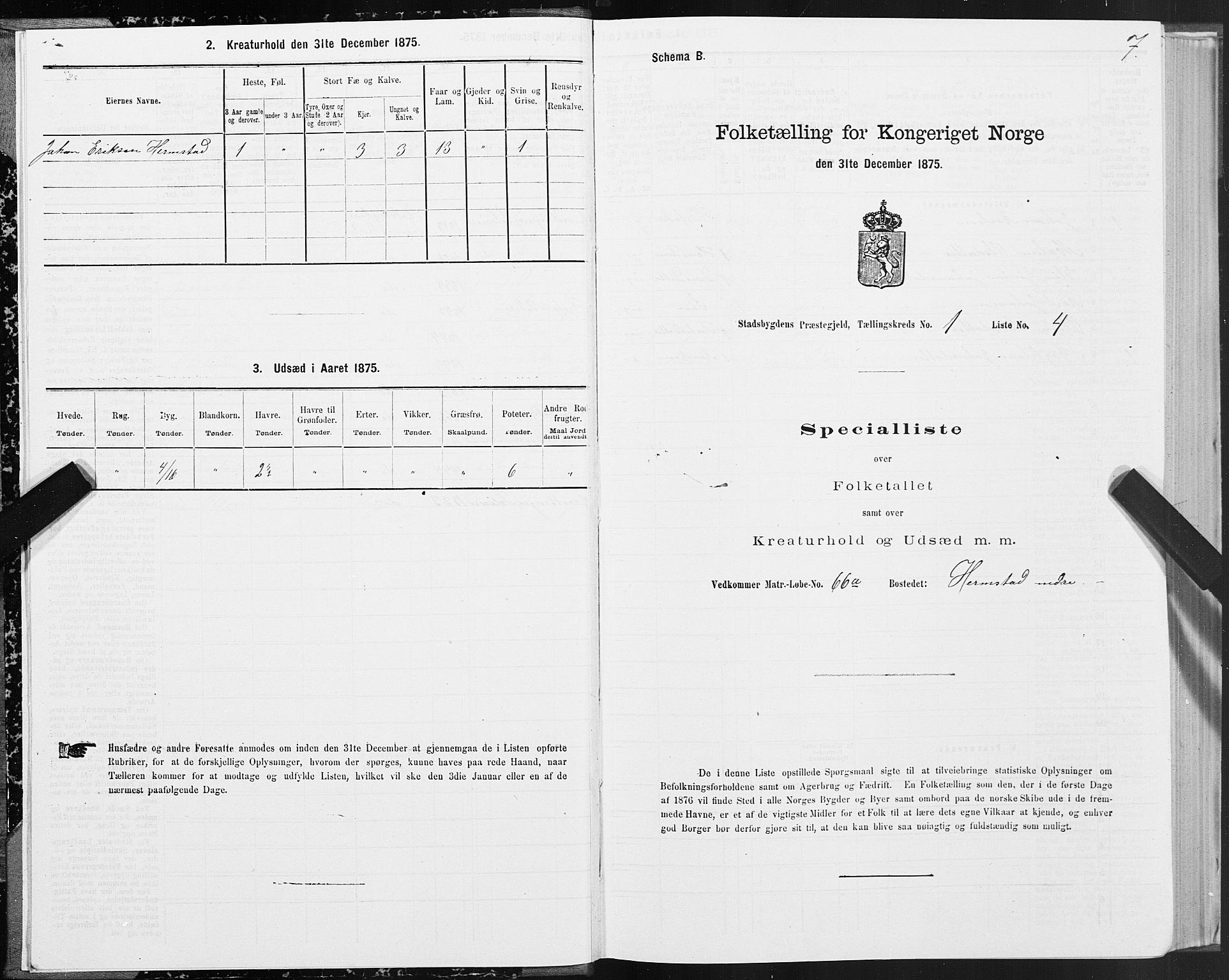 SAT, 1875 census for 1625P Stadsbygd, 1875, p. 1007