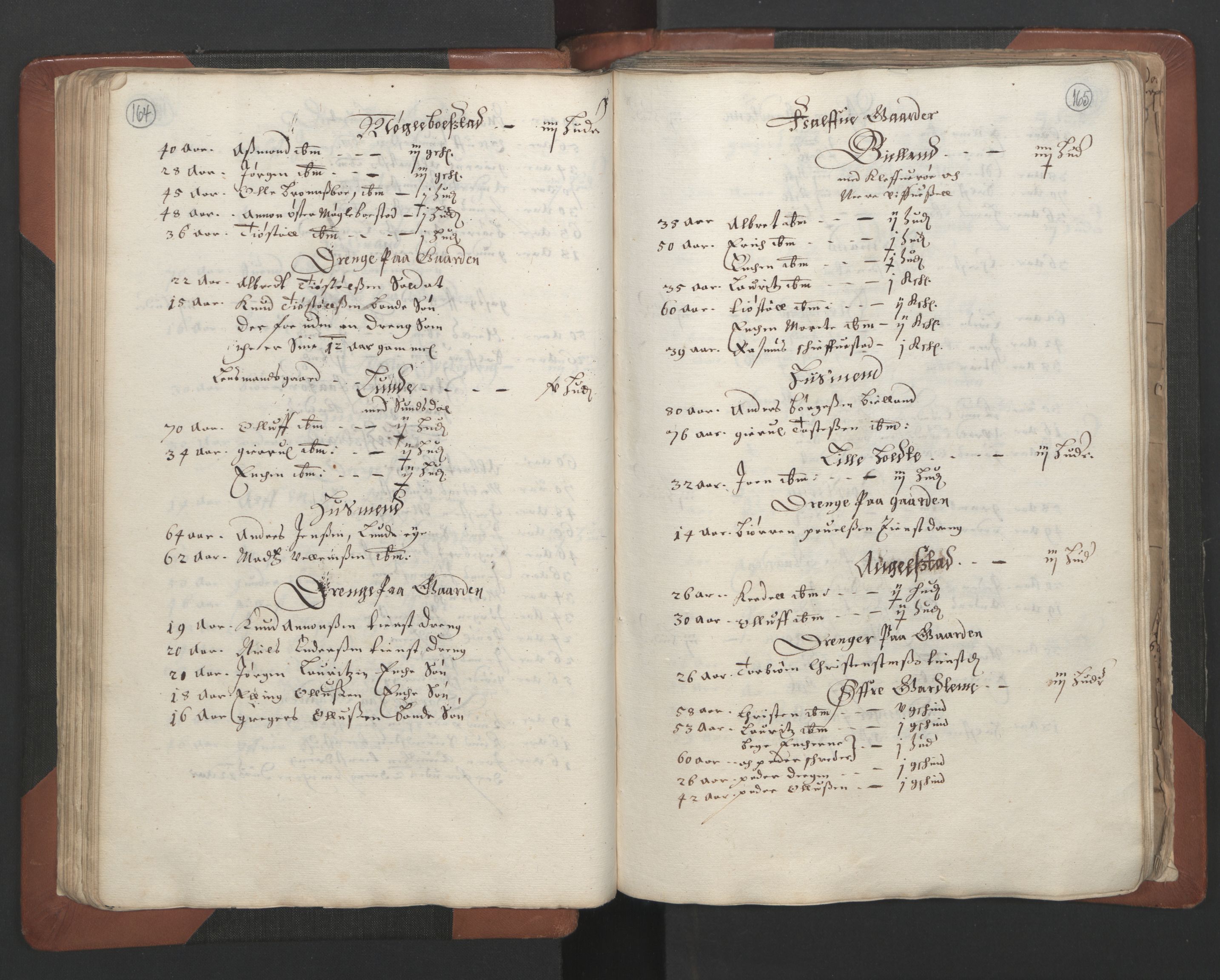 RA, Bailiff's Census 1664-1666, no. 7: Nedenes fogderi, 1664-1666, p. 164-165