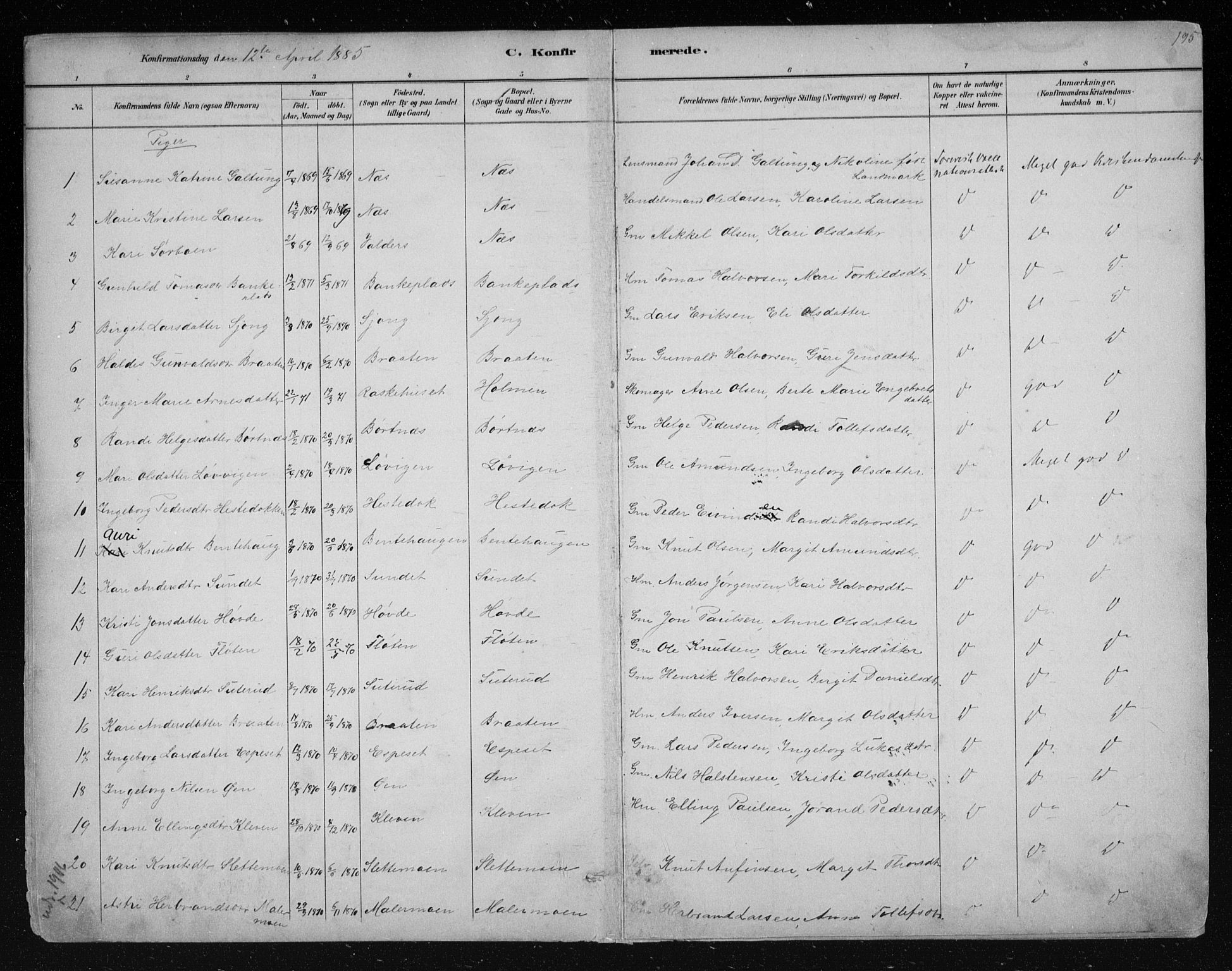 Nes kirkebøker, AV/SAKO-A-236/F/Fa/L0011: Parish register (official) no. 11, 1881-1912, p. 195