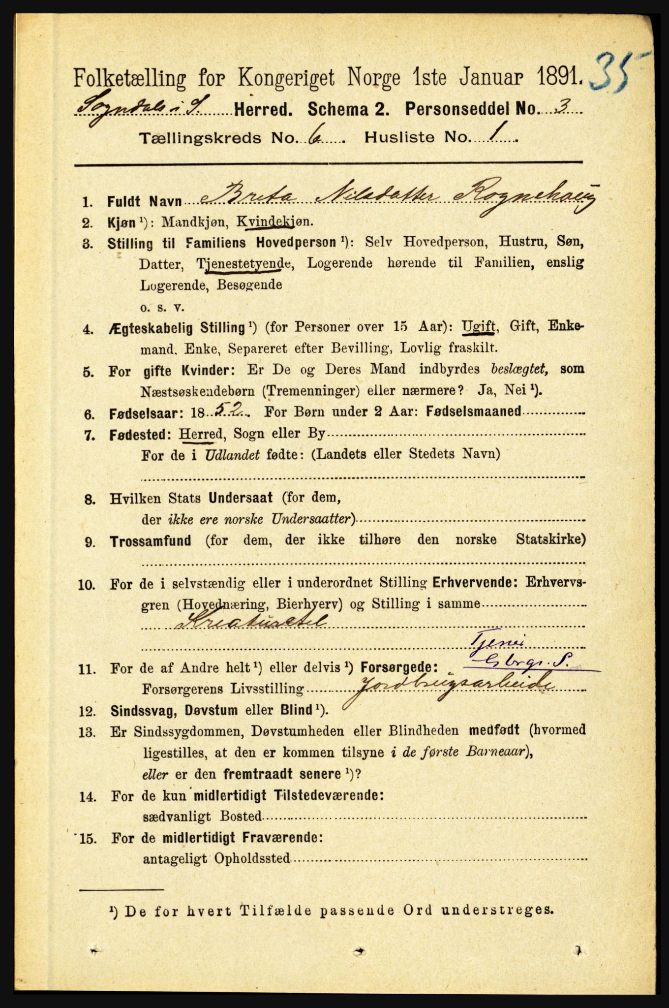 RA, 1891 census for 1420 Sogndal, 1891, p. 2605