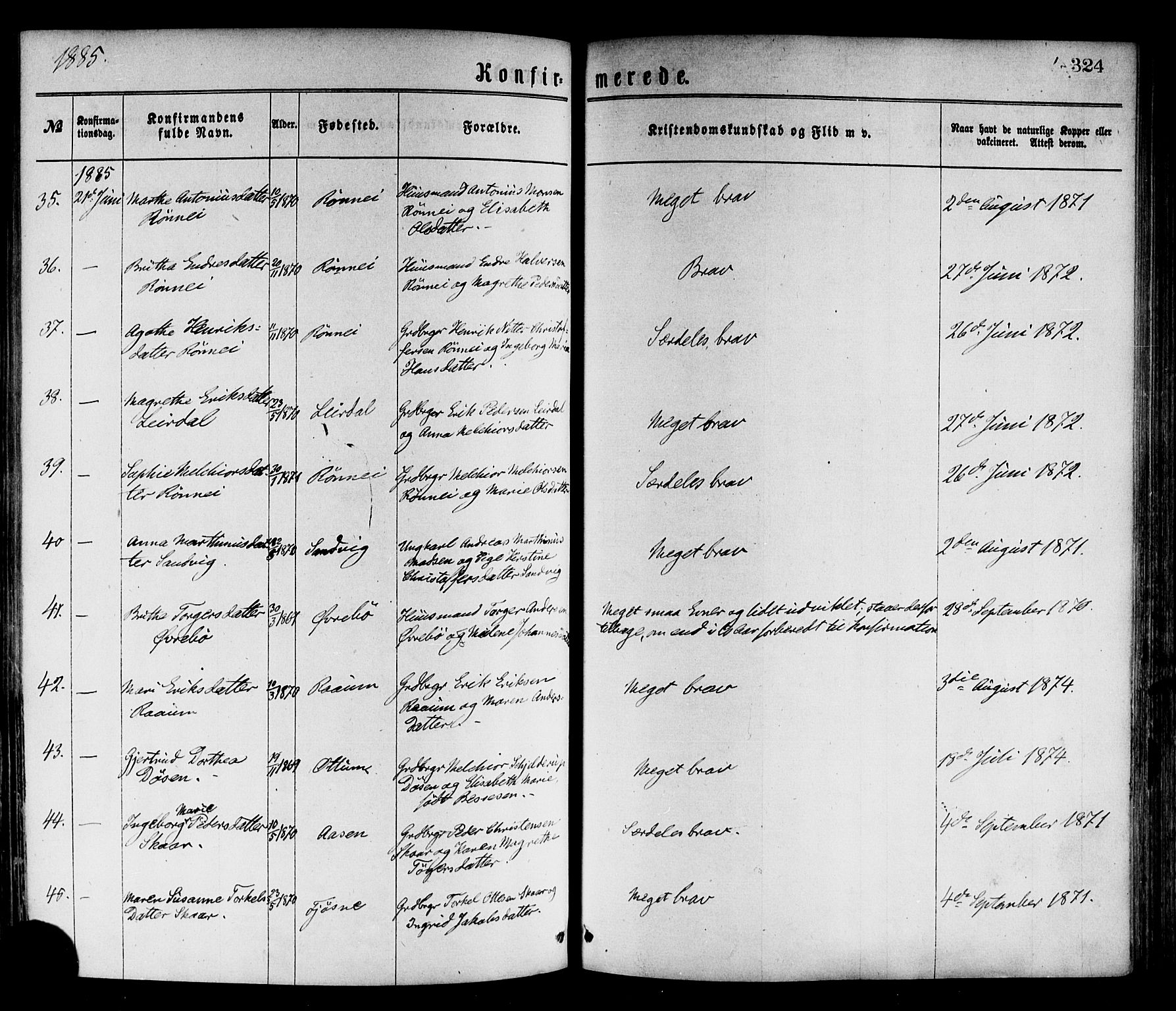 Luster sokneprestembete, AV/SAB-A-81101/H/Haa/Haaa/L0010: Parish register (official) no. A 10, 1871-1886, p. 324