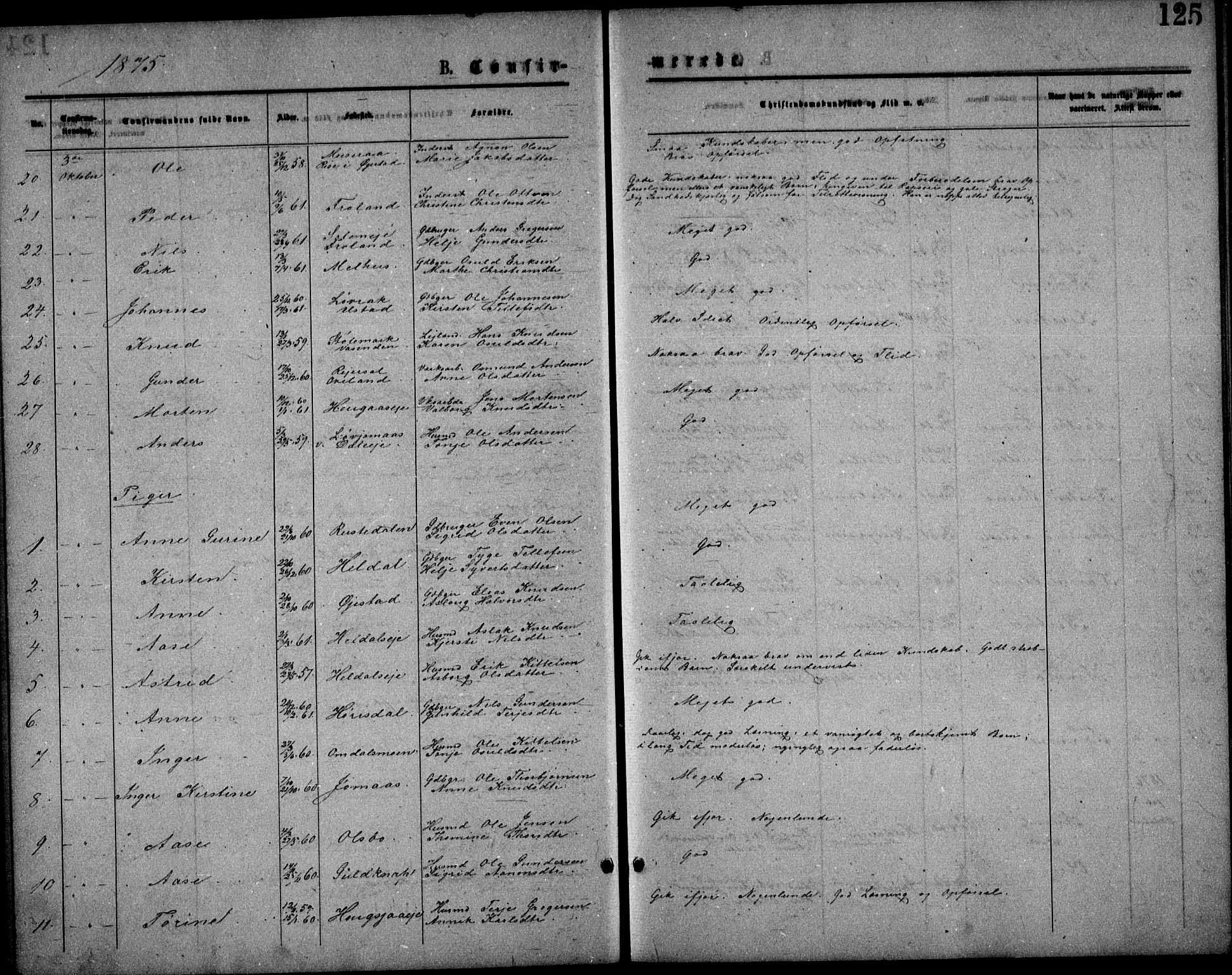 Froland sokneprestkontor, SAK/1111-0013/F/Fb/L0009: Parish register (copy) no. B 9, 1875-1893, p. 125