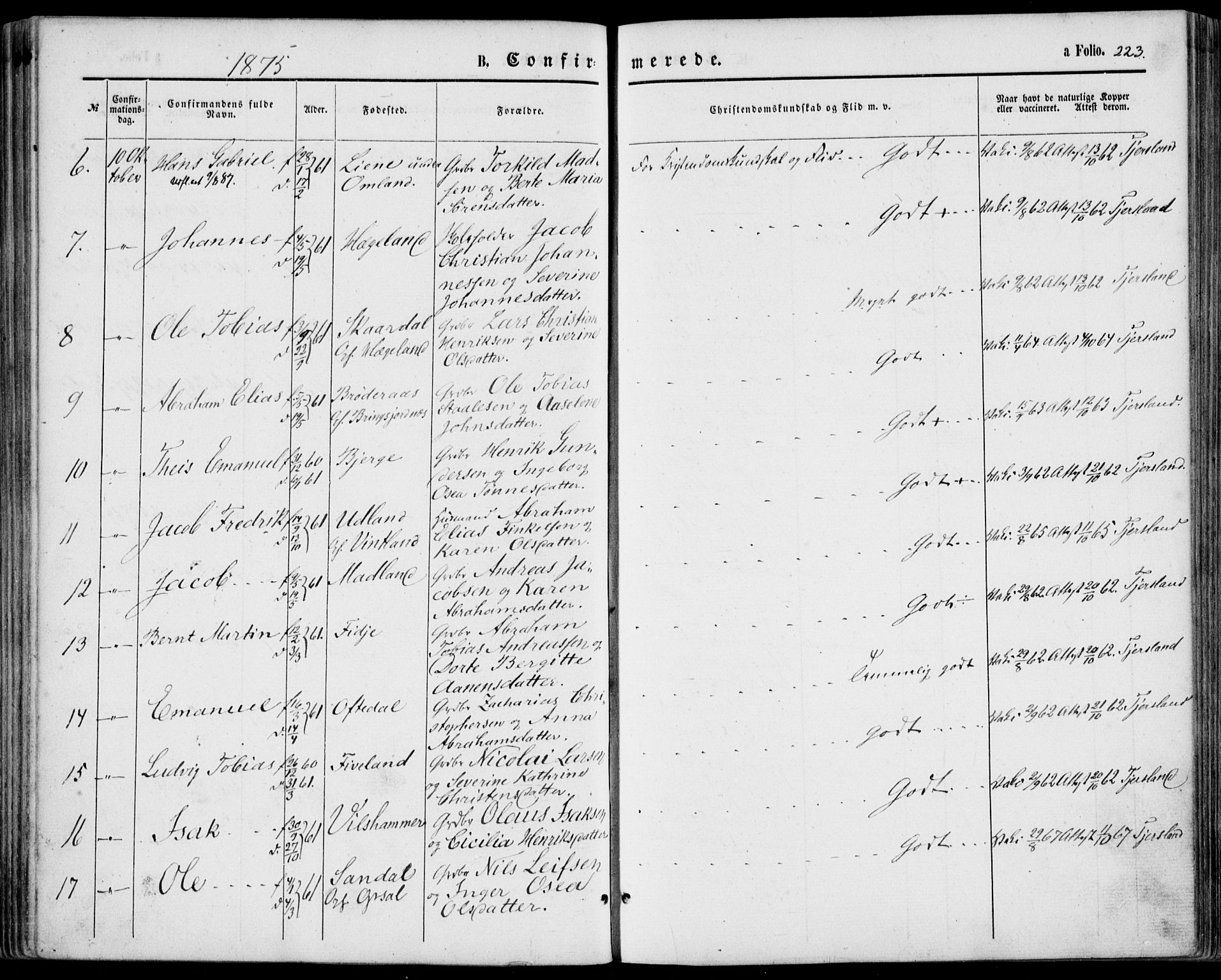 Lyngdal sokneprestkontor, SAK/1111-0029/F/Fa/Fac/L0010: Parish register (official) no. A 10, 1865-1878, p. 223