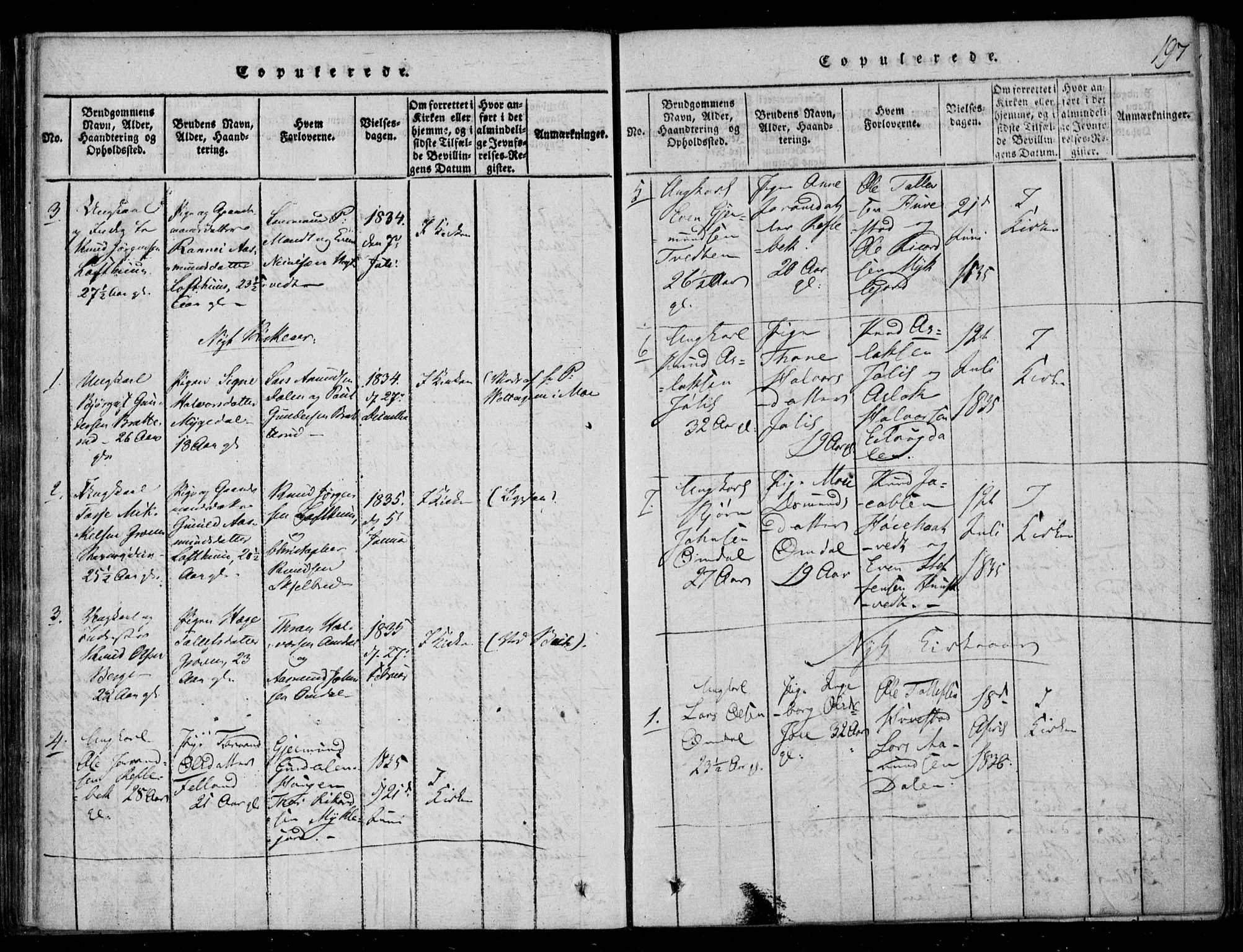 Lårdal kirkebøker, SAKO/A-284/F/Fb/L0001: Parish register (official) no. II 1, 1815-1860, p. 197