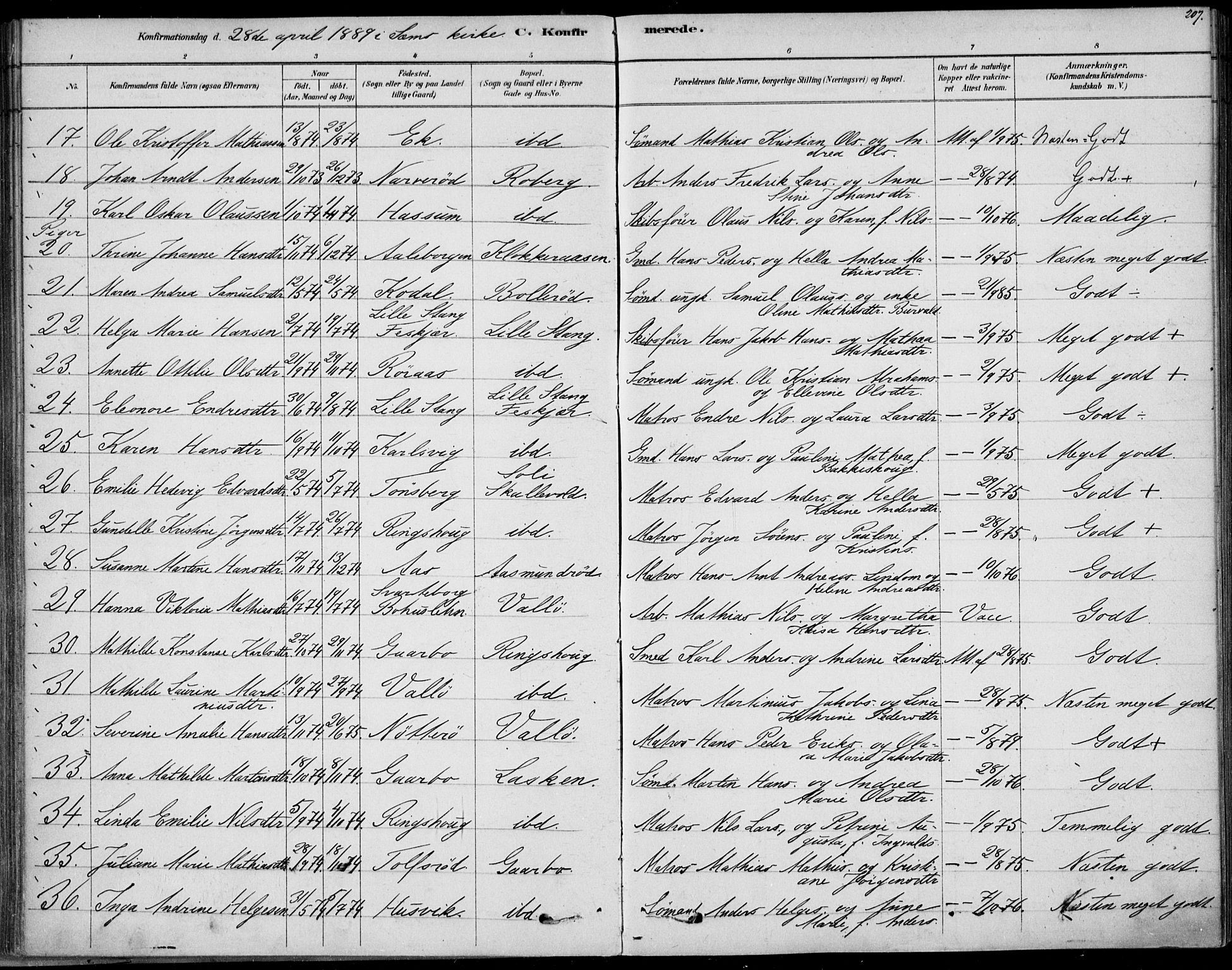 Sem kirkebøker, AV/SAKO-A-5/F/Fb/L0004: Parish register (official) no. II 4, 1878-1891, p. 207