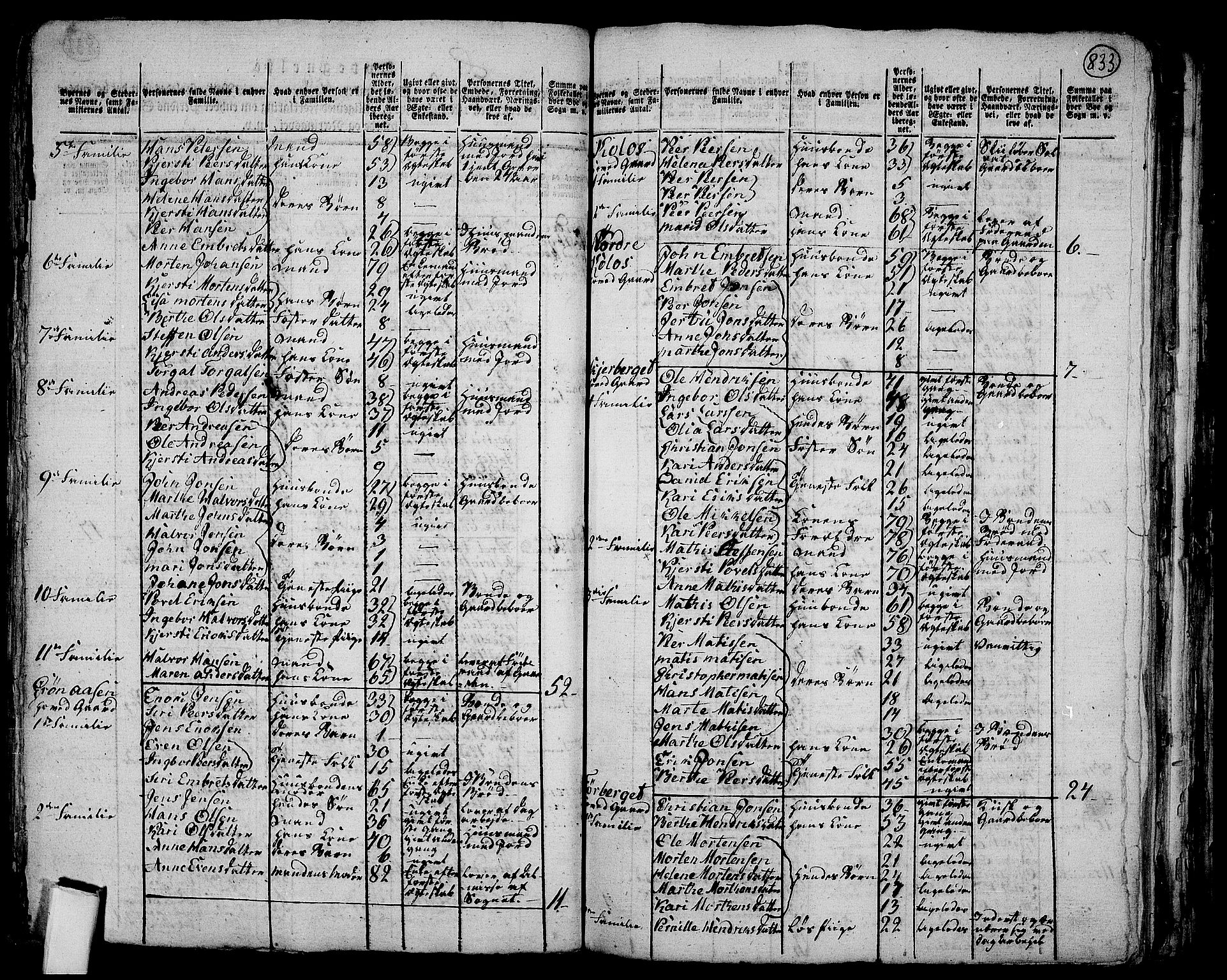 RA, 1801 census for 0428P Trysil, 1801, p. 832b-833a