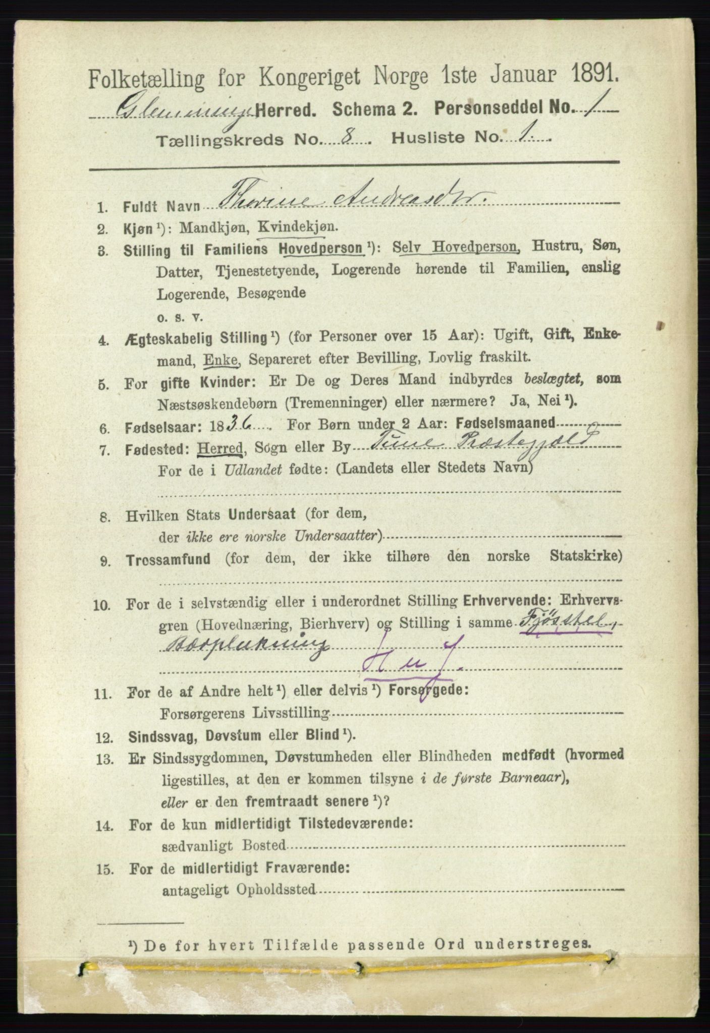 RA, 1891 census for 0132 Glemmen, 1891, p. 9306