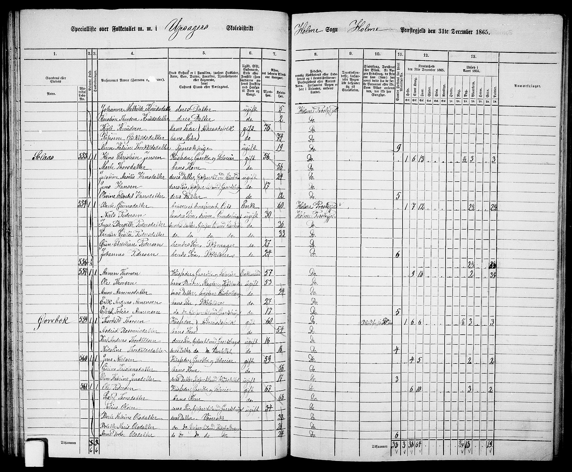 RA, 1865 census for Holum, 1865, p. 51