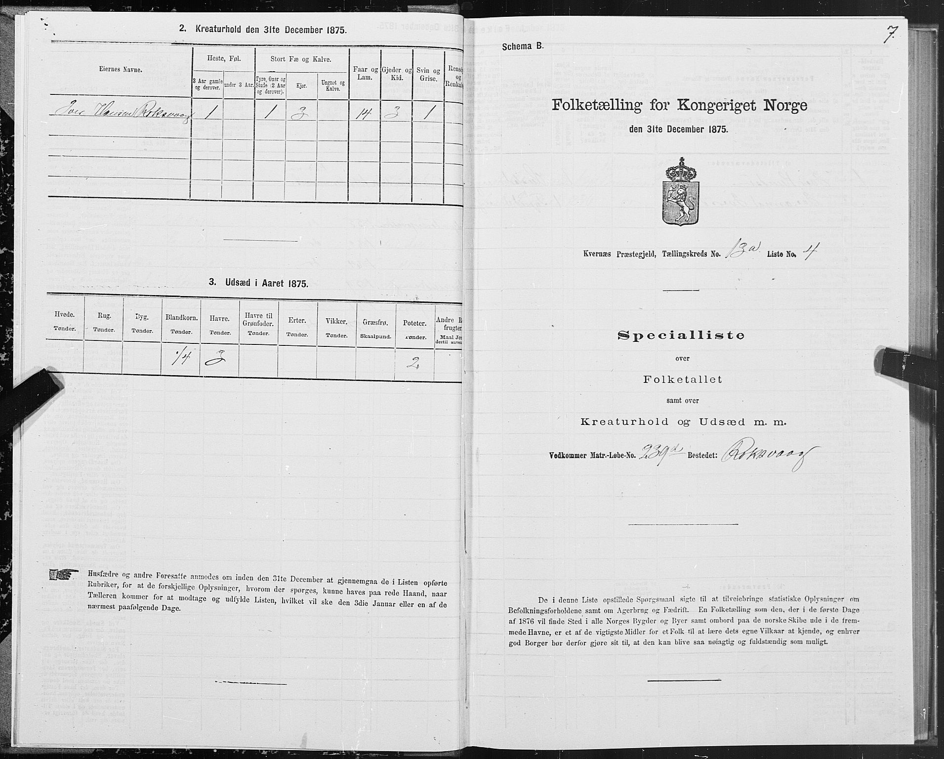 SAT, 1875 census for 1553P Kvernes, 1875, p. 7007