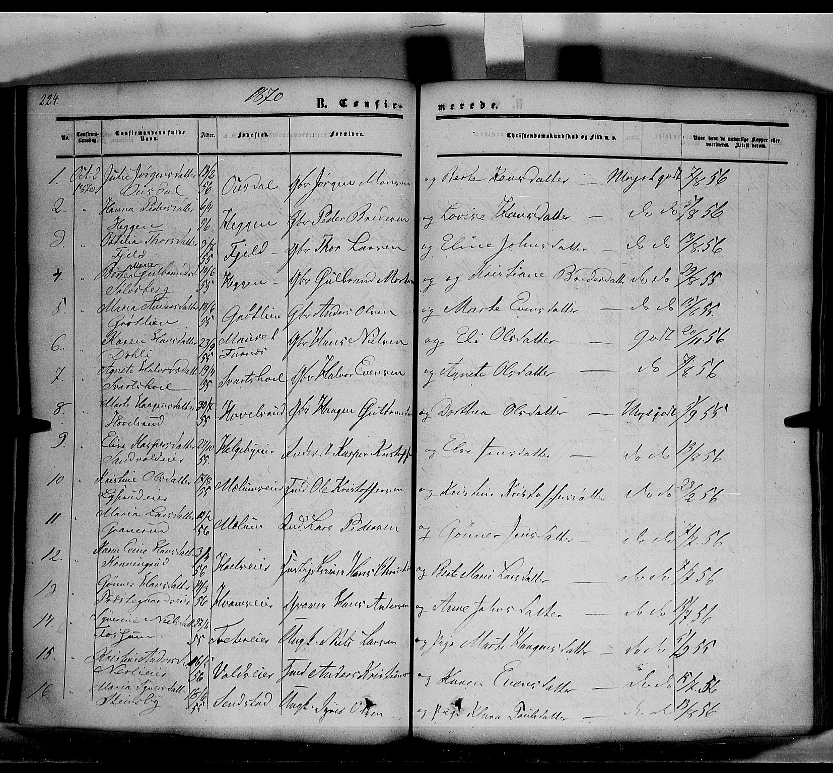 Nes prestekontor, Hedmark, AV/SAH-PREST-020/K/Ka/L0004: Parish register (official) no. 4, 1852-1886, p. 224