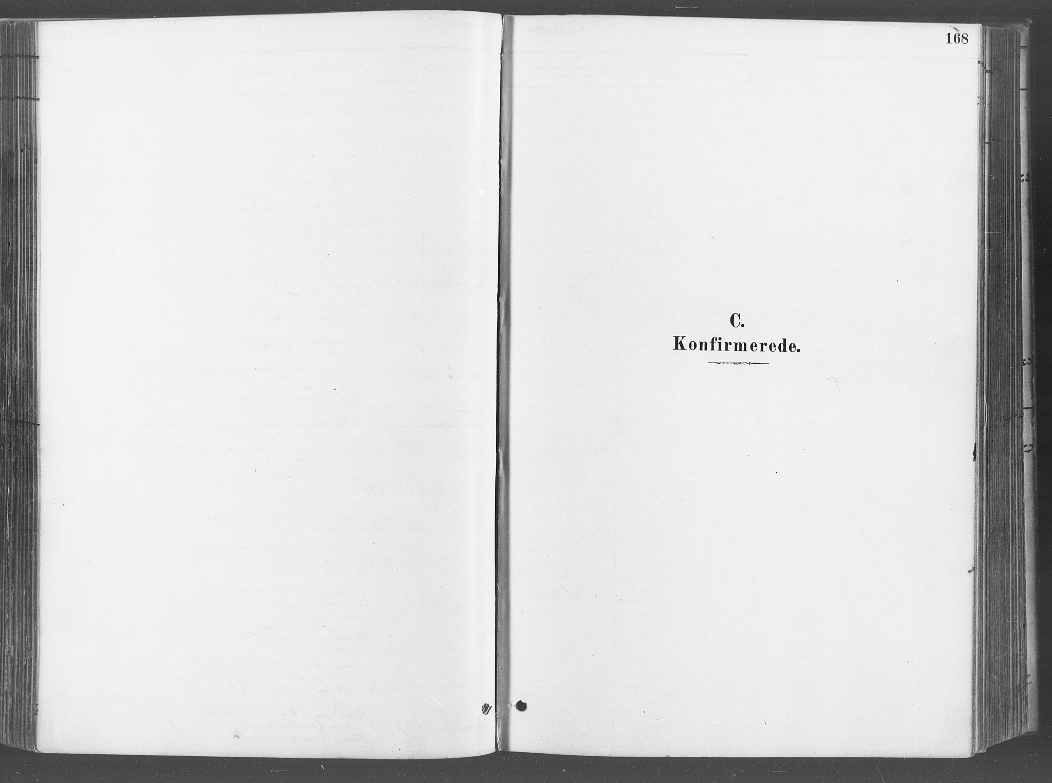 Fredrikstad domkirkes prestekontor Kirkebøker, SAO/A-10906/G/Ga/L0003: Parish register (copy) no. 3, 1880-1900, p. 168