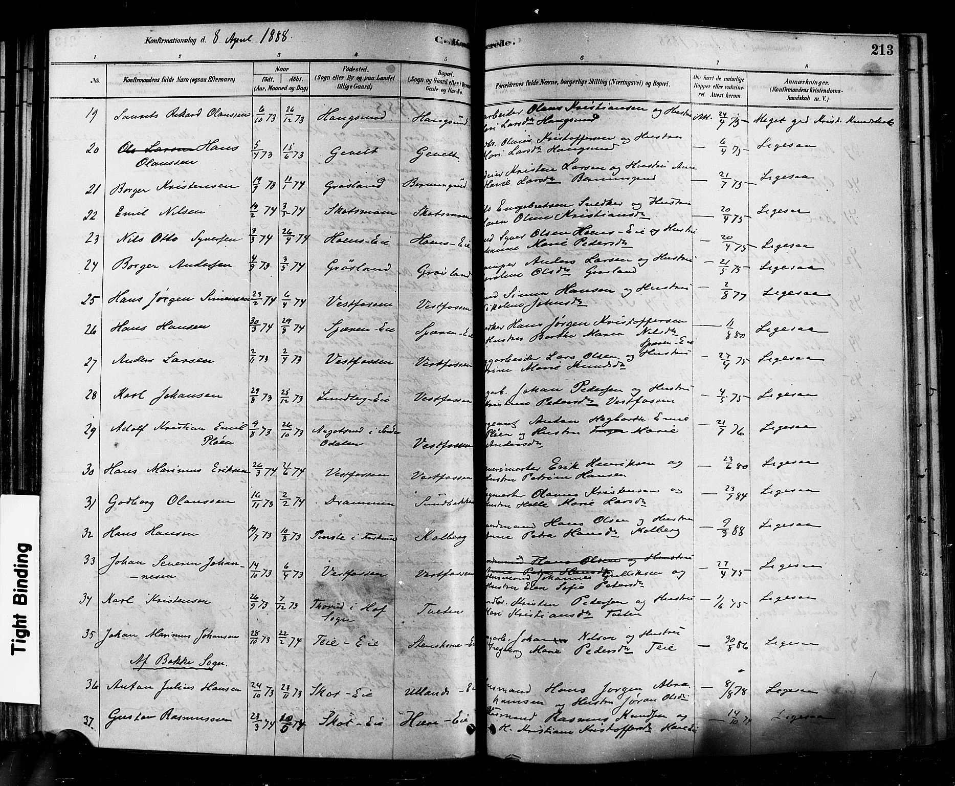 Eiker kirkebøker, AV/SAKO-A-4/F/Fb/L0001: Parish register (official) no. II 1, 1878-1888, p. 213