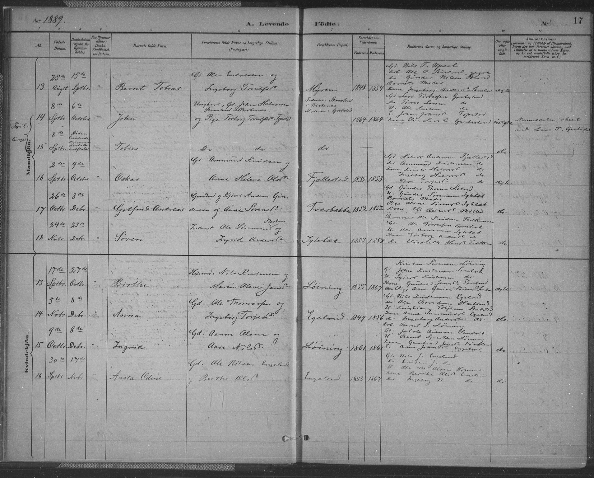 Vennesla sokneprestkontor, AV/SAK-1111-0045/Fa/Fac/L0009: Parish register (official) no. A 9, 1884-1901, p. 17