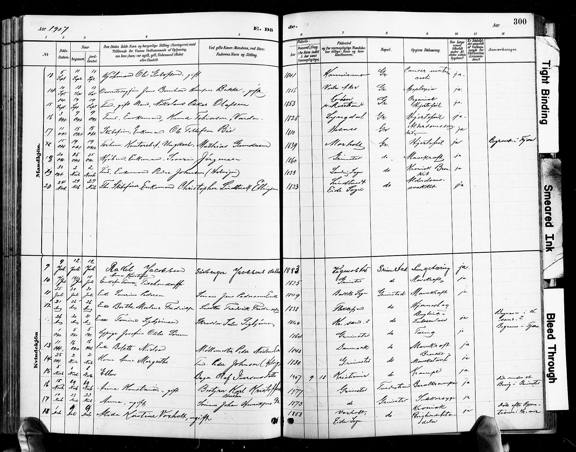 Grimstad sokneprestkontor, SAK/1111-0017/F/Fb/L0001: Parish register (copy) no. B 1, 1881-1922, p. 300