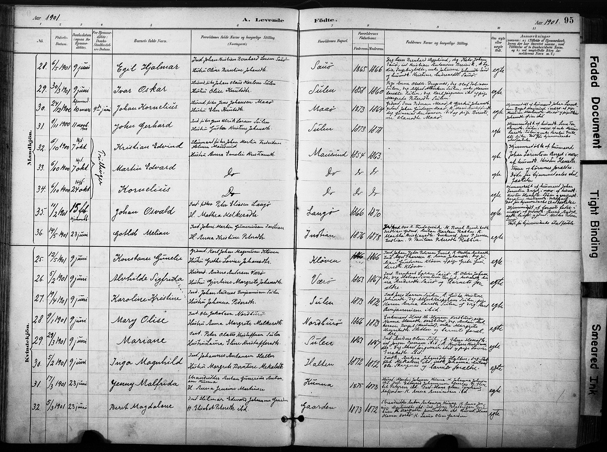 Ministerialprotokoller, klokkerbøker og fødselsregistre - Sør-Trøndelag, AV/SAT-A-1456/640/L0579: Parish register (official) no. 640A04, 1889-1902, p. 95