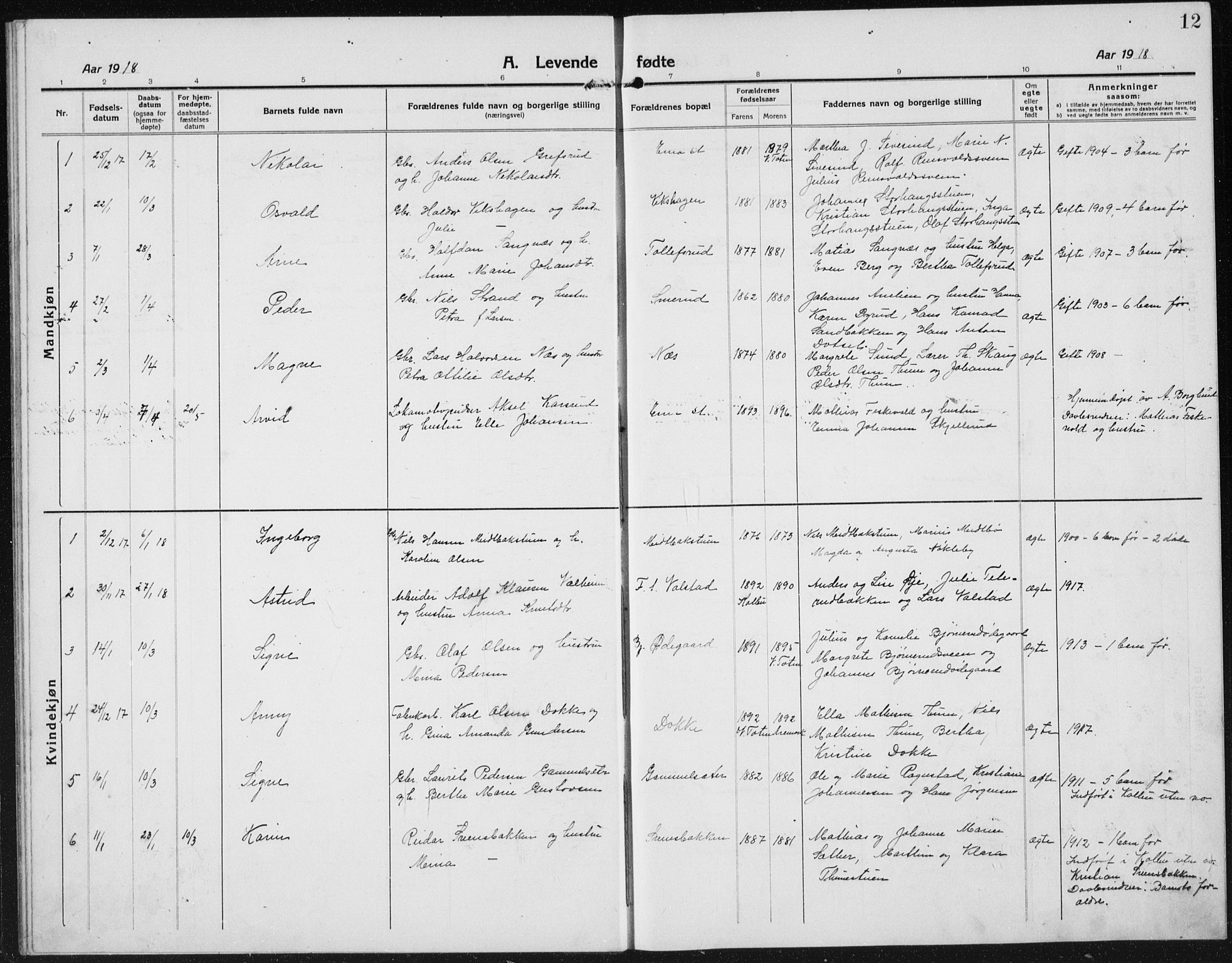 Kolbu prestekontor, SAH/PREST-110/H/Ha/Hab/L0006: Parish register (copy) no. 6, 1916-1934, p. 12