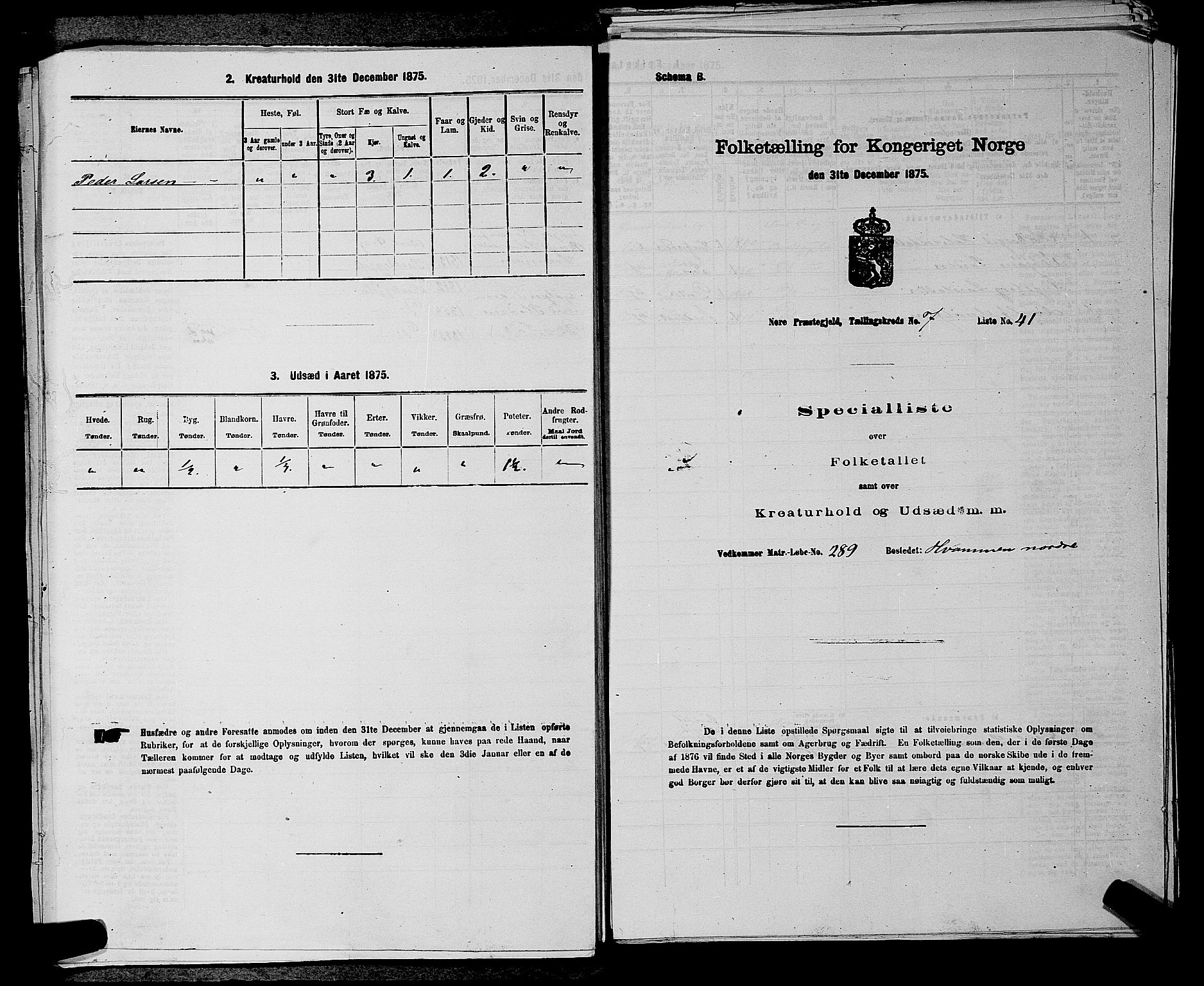 SAKO, 1875 census for 0633P Nore, 1875, p. 904