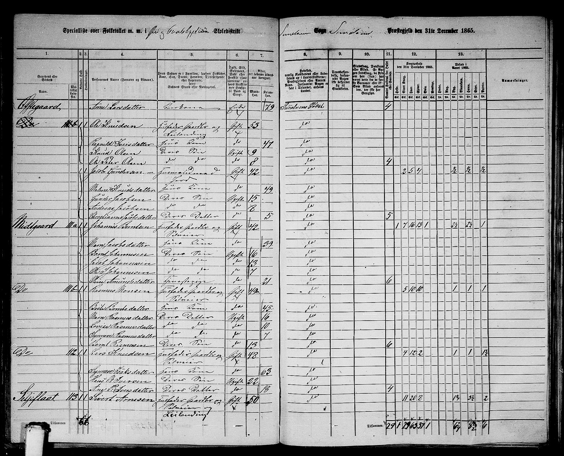 RA, 1865 census for Sunnylven, 1865, p. 54