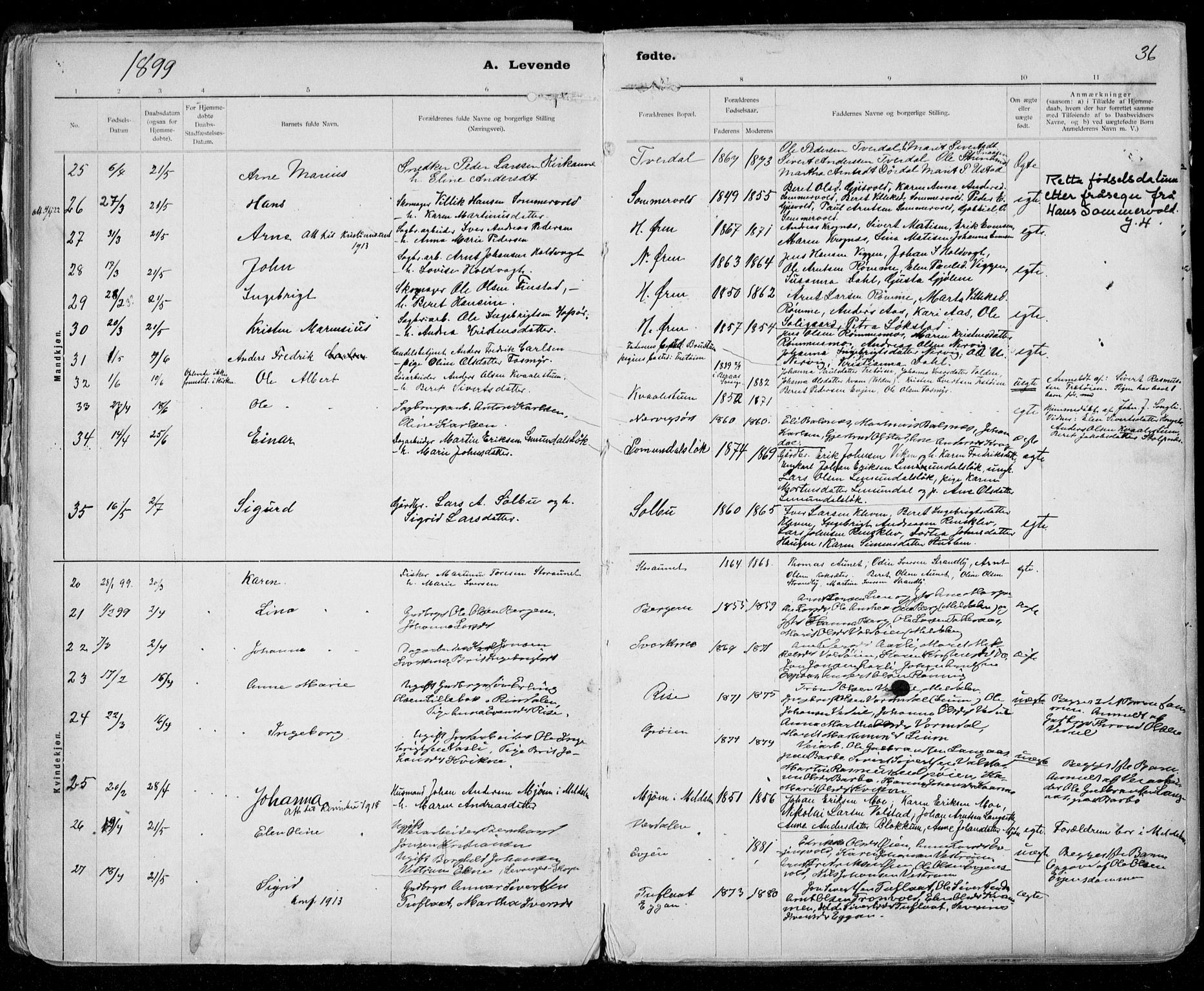 Ministerialprotokoller, klokkerbøker og fødselsregistre - Sør-Trøndelag, SAT/A-1456/668/L0811: Parish register (official) no. 668A11, 1894-1913, p. 36