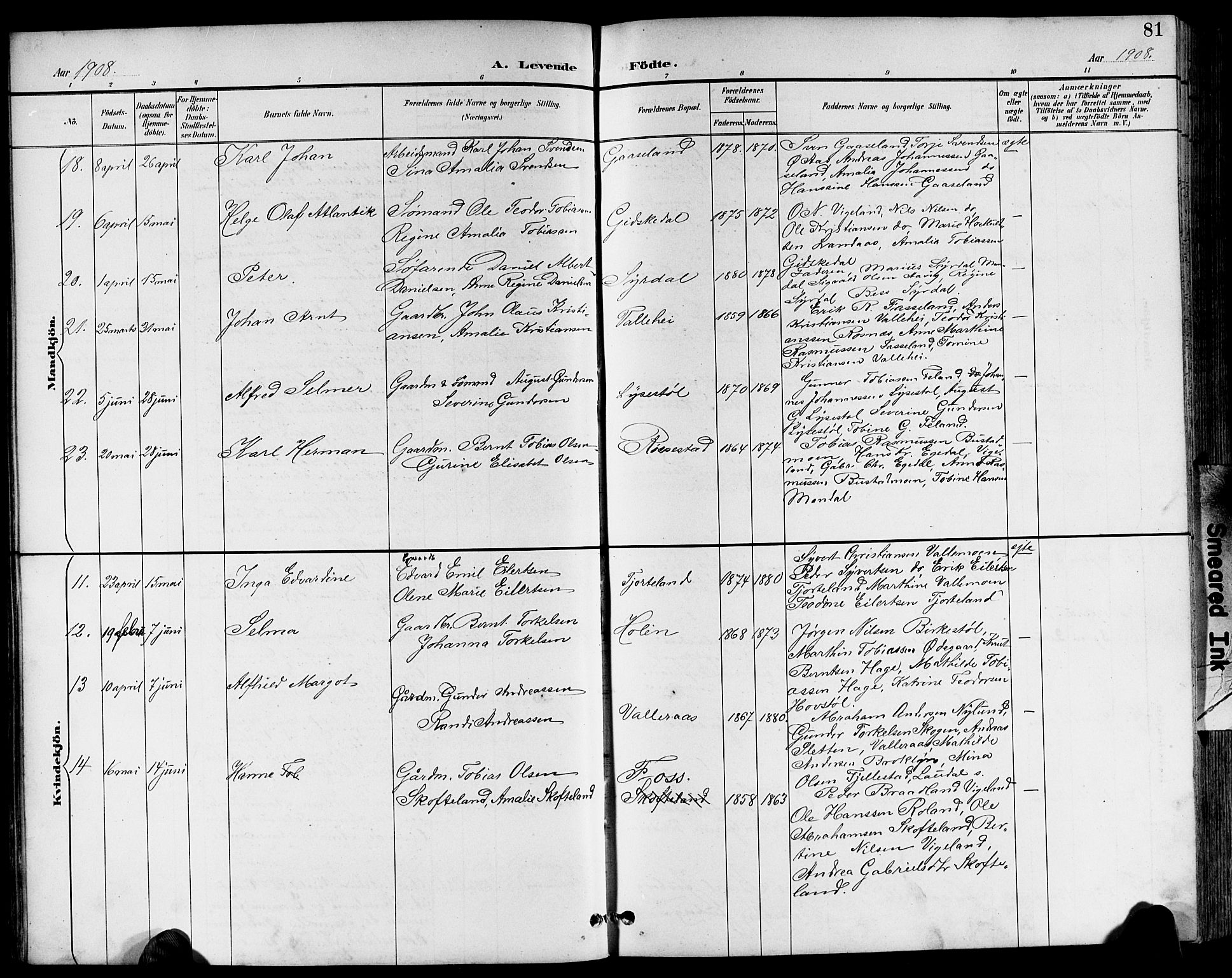 Sør-Audnedal sokneprestkontor, AV/SAK-1111-0039/F/Fb/Fbb/L0006: Parish register (copy) no. B 6, 1893-1915, p. 81