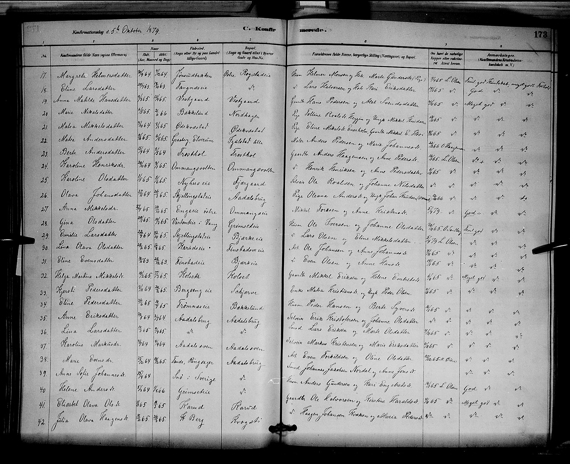 Løten prestekontor, SAH/PREST-022/L/La/L0005: Parish register (copy) no. 5, 1878-1891, p. 173