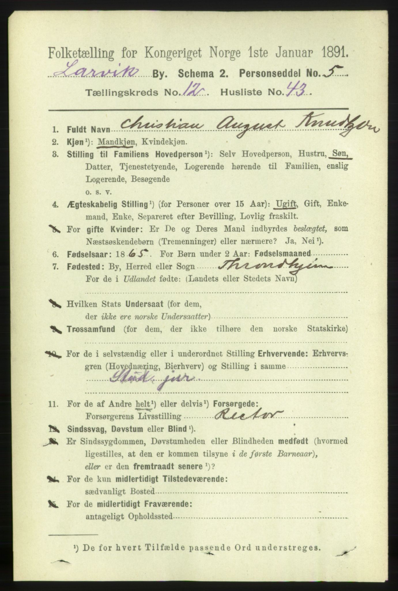 RA, 1891 census for 0707 Larvik, 1891, p. 10472