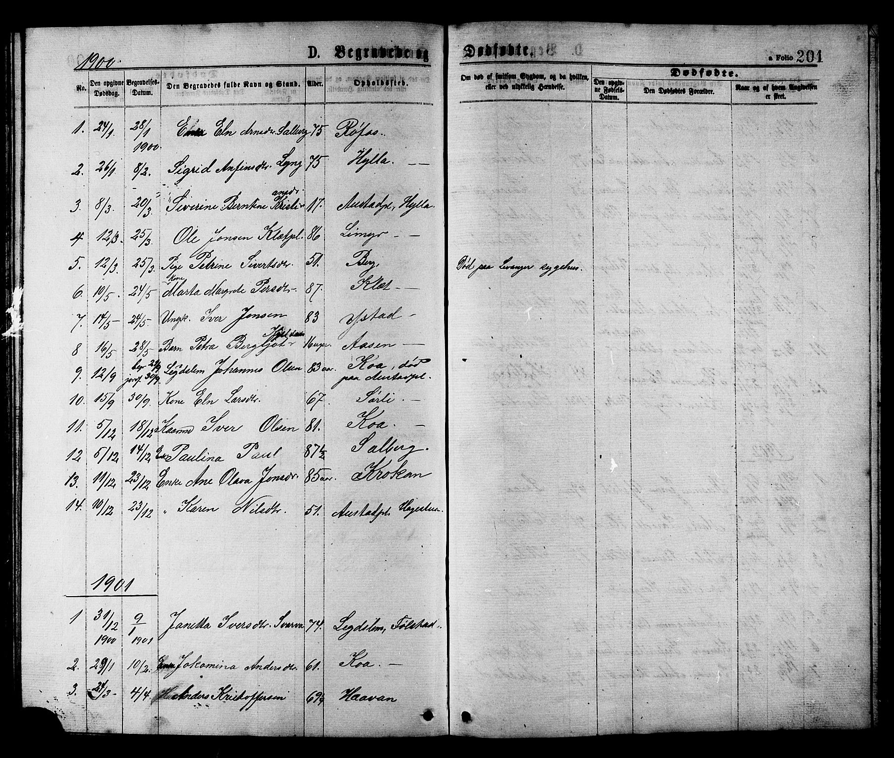 Ministerialprotokoller, klokkerbøker og fødselsregistre - Nord-Trøndelag, SAT/A-1458/731/L0311: Parish register (copy) no. 731C02, 1875-1911, p. 201